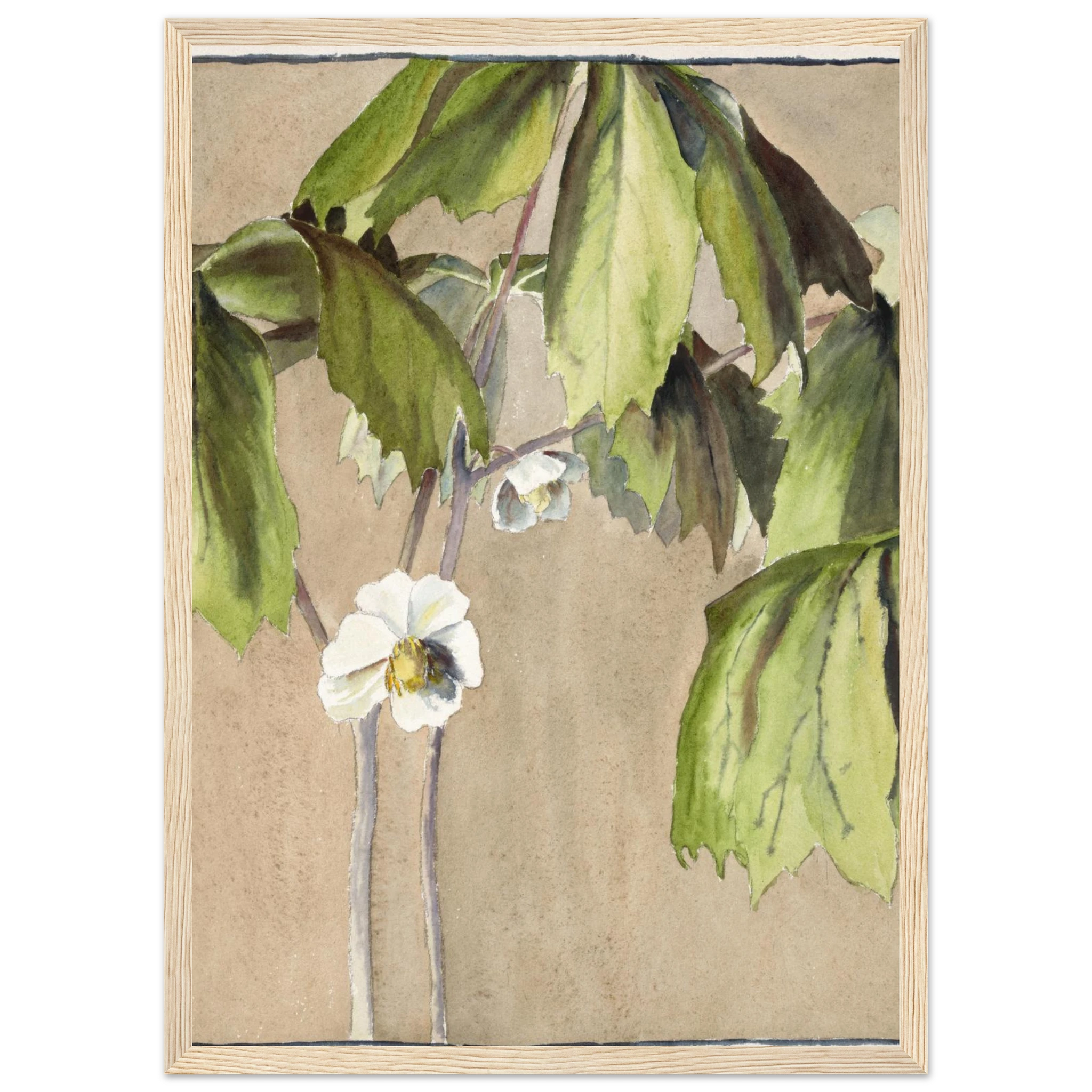 9cf6a2ee-34b4-4c86-aada-0c76c559df41