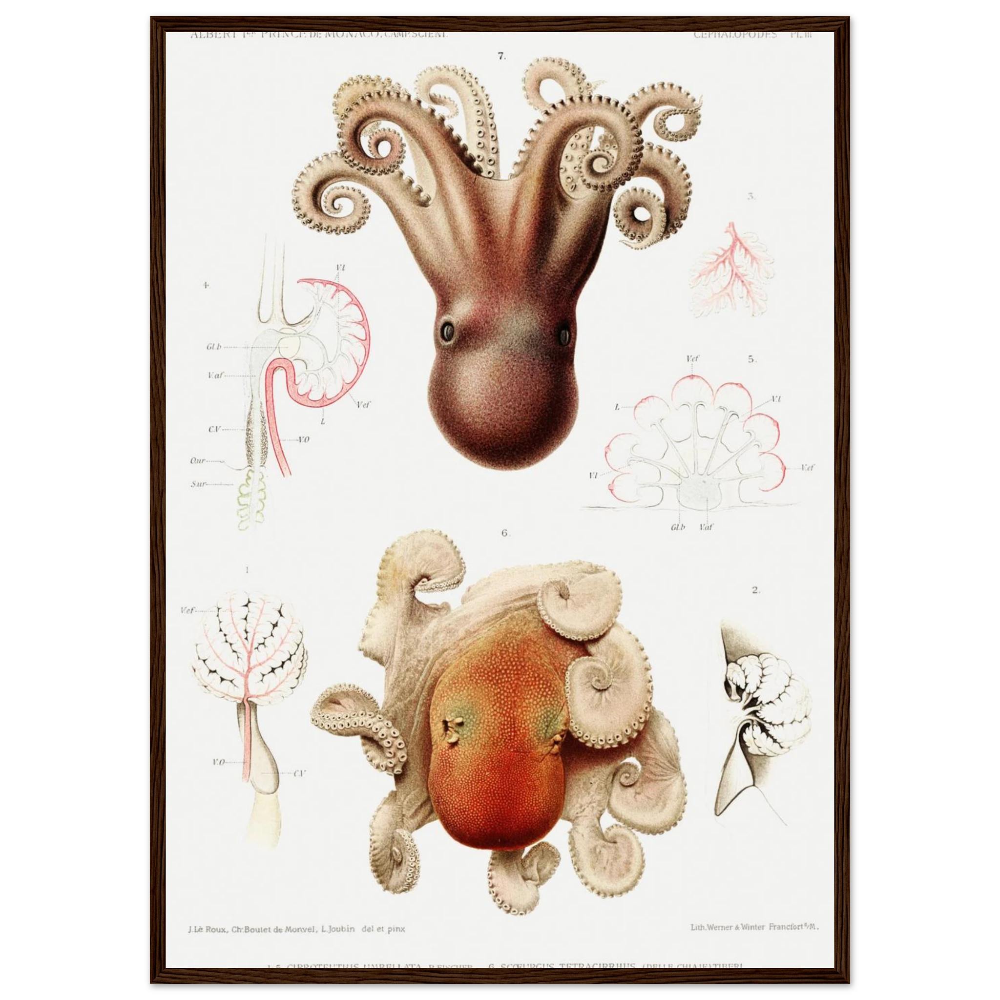 9cfffa4c-b4e7-48ca-a252-165f55bf7548