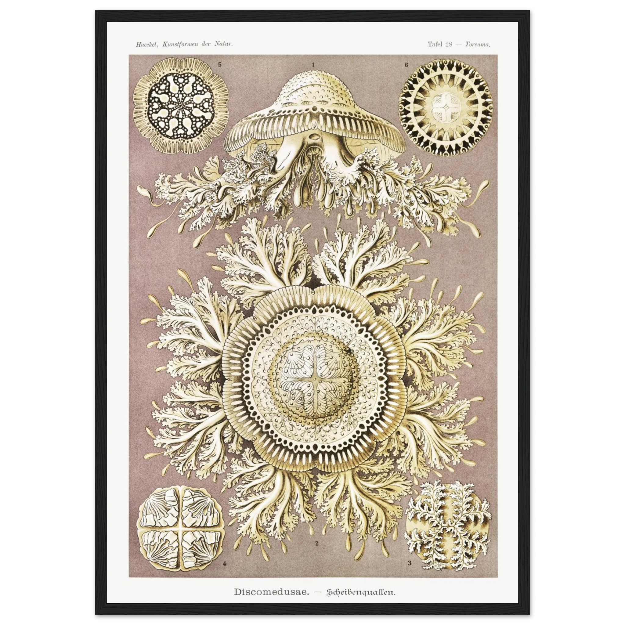 9d38cbf9-16ff-43e8-8270-33a52bf89baa