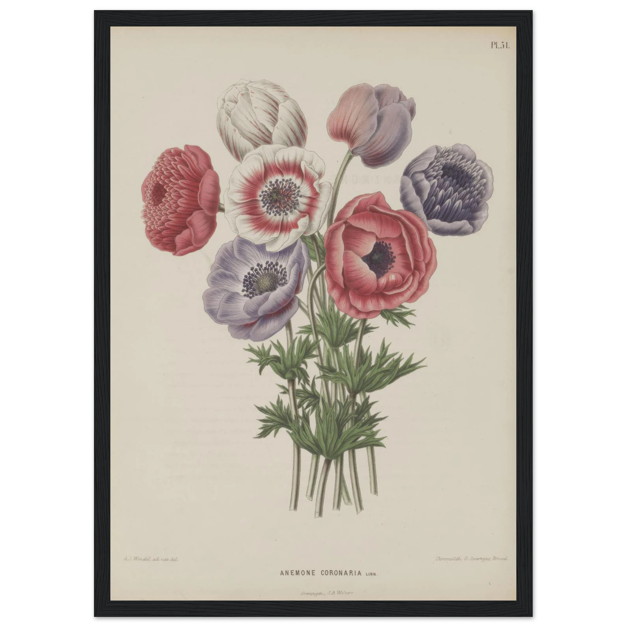 9da30e4b-64d0-48f5-9f7e-c0be59c07f08