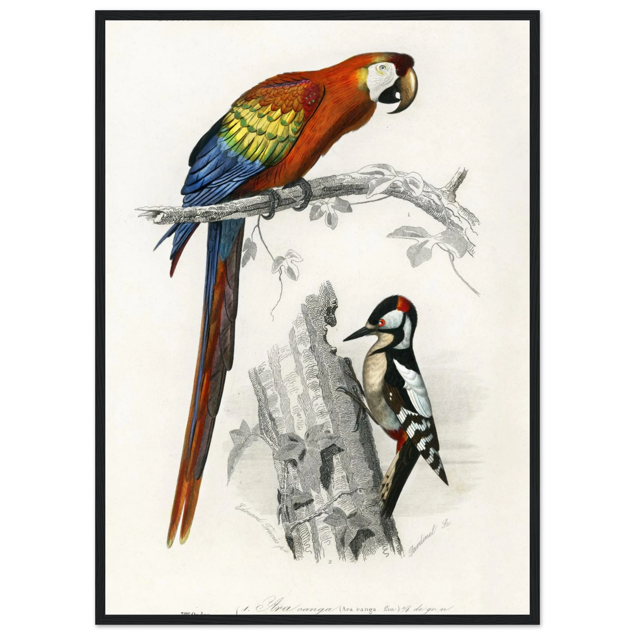 9dae18a2-18ac-445a-9bad-a99de5e9fc84