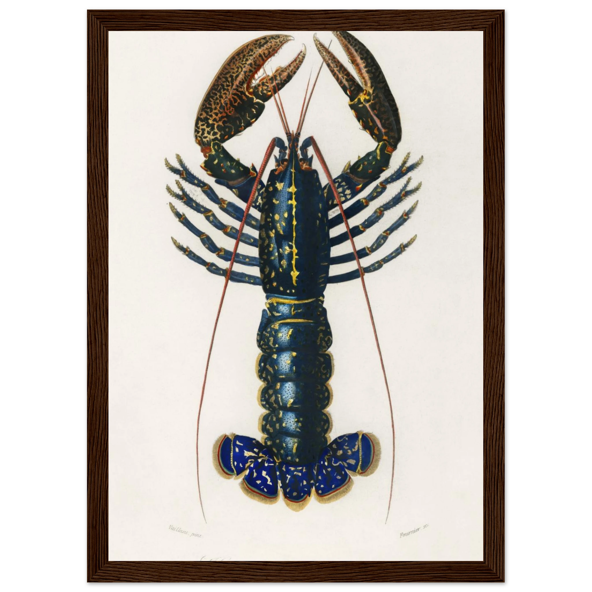 9db354b2-d8b2-4ed1-aba1-badda03ac60e