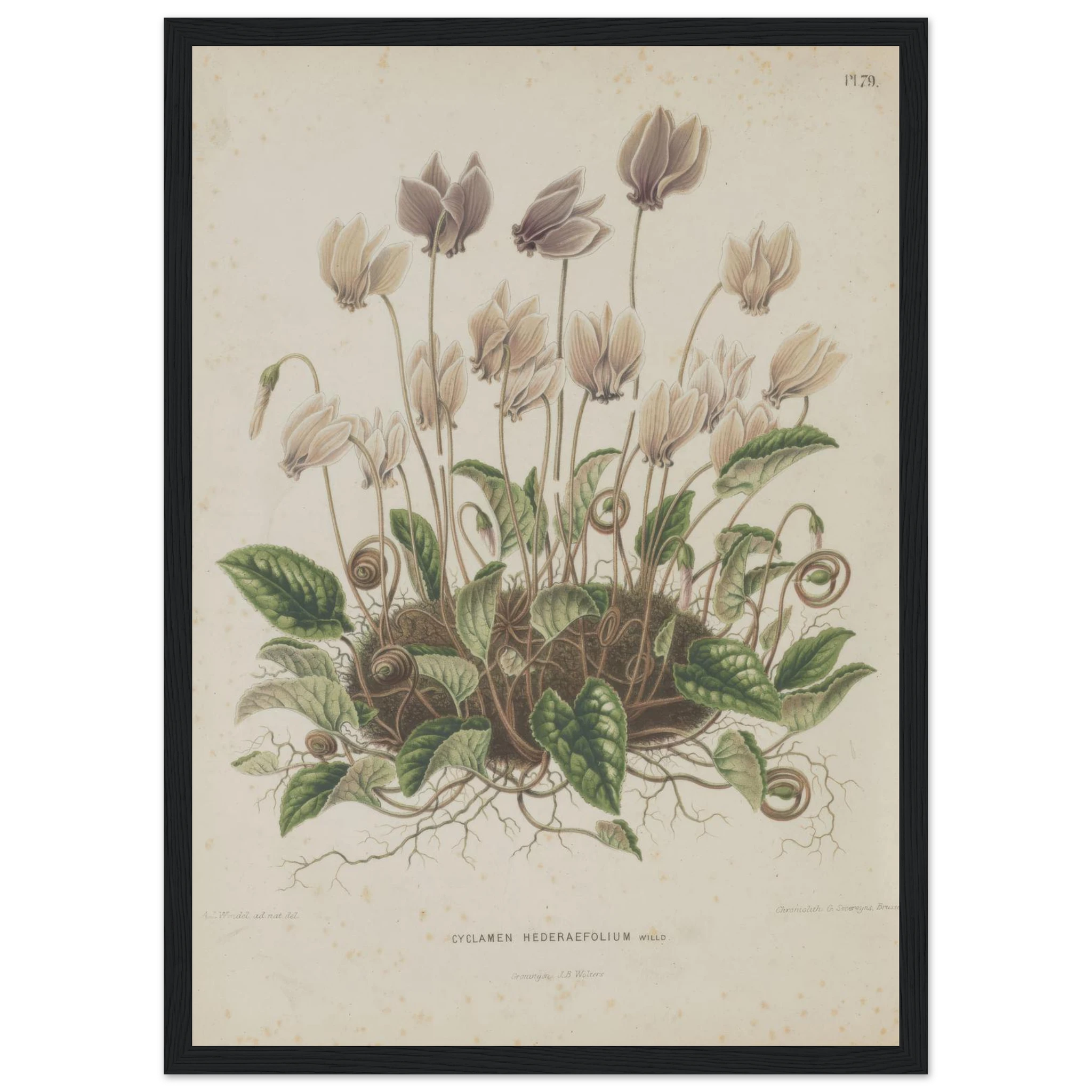 9dc0b25e-c501-4c4e-bd48-2ae307a2f1e3