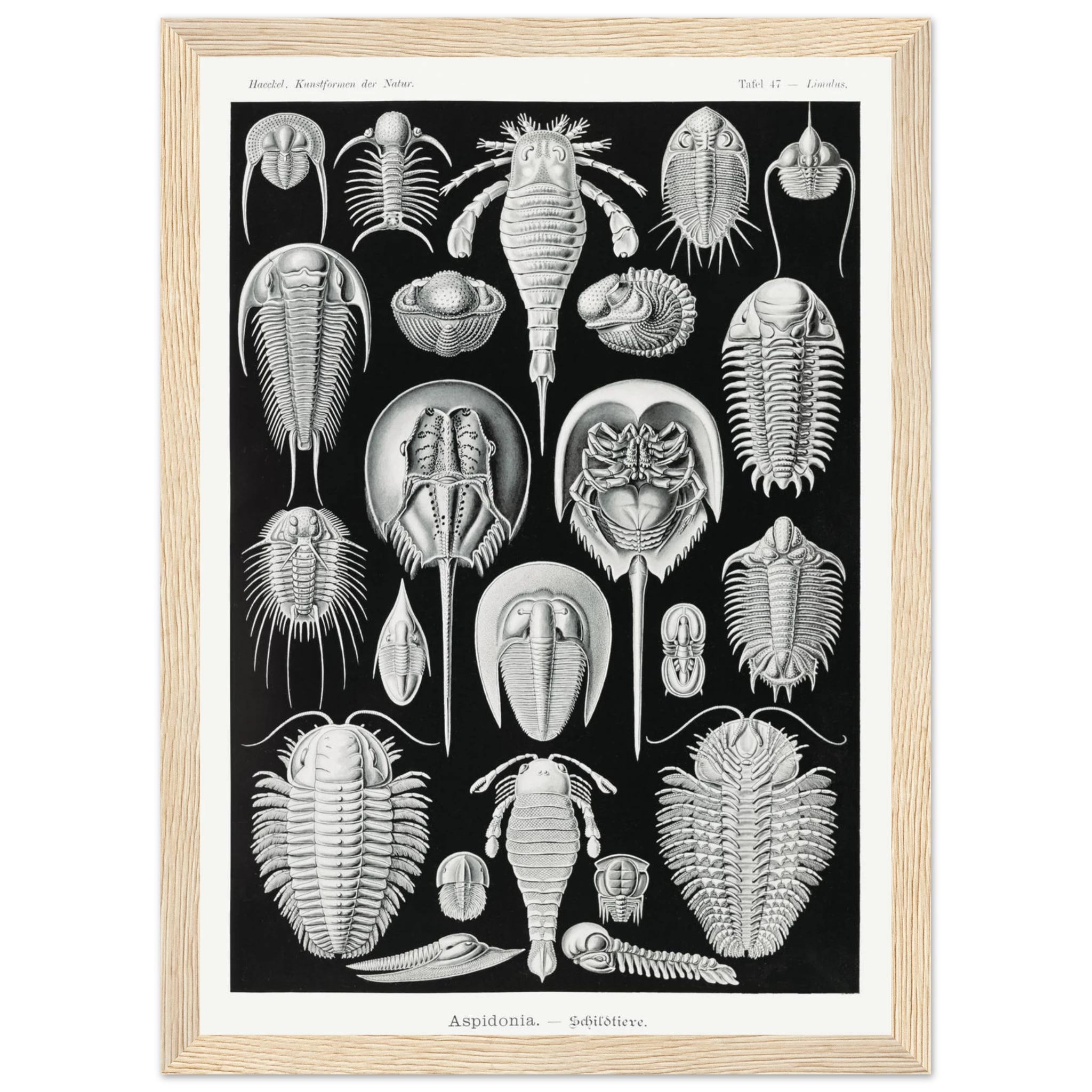 9dda57fd-6174-4b69-a8d6-8f88d8b836d5