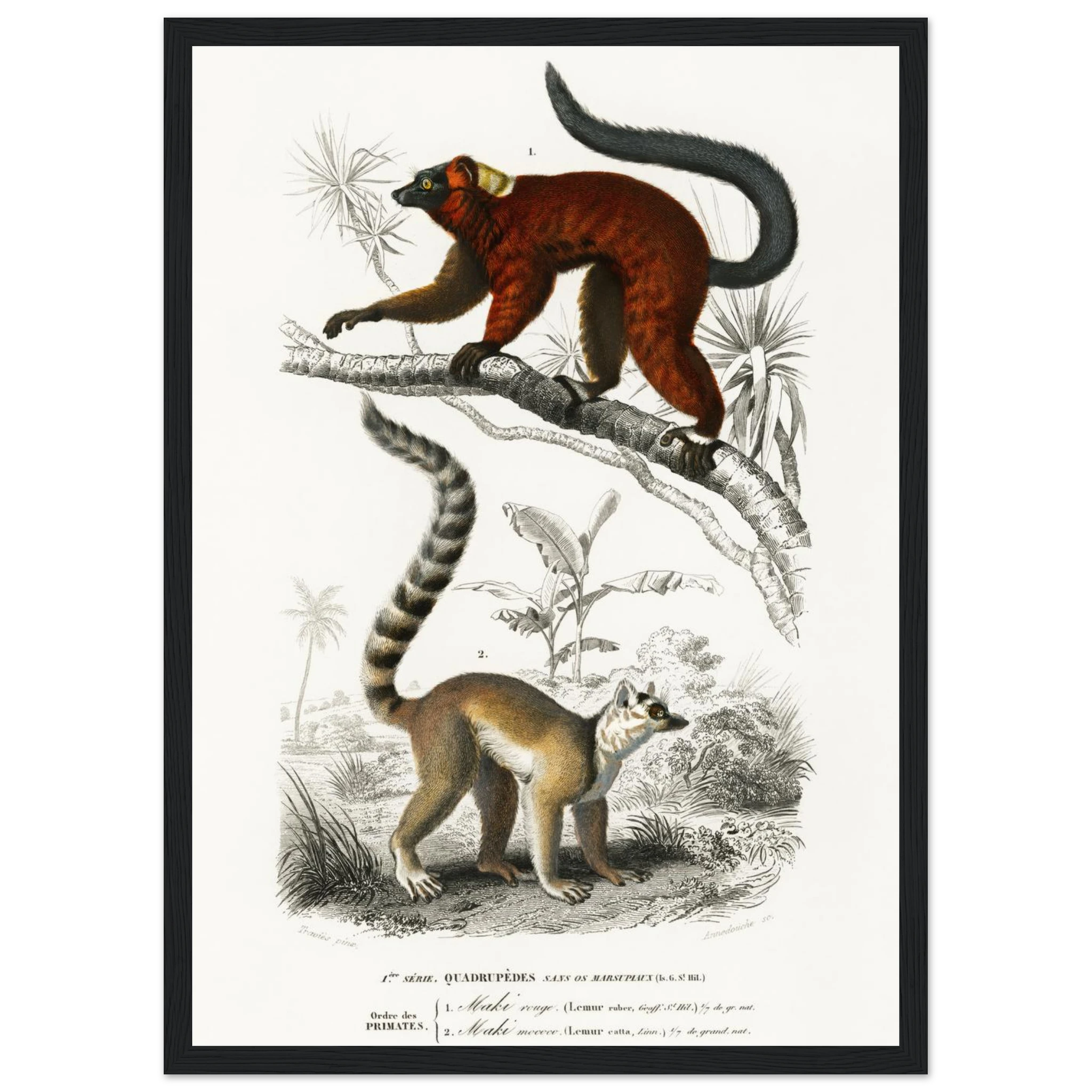 9e1ee96d-4ba8-453a-a625-4d4c5523983b