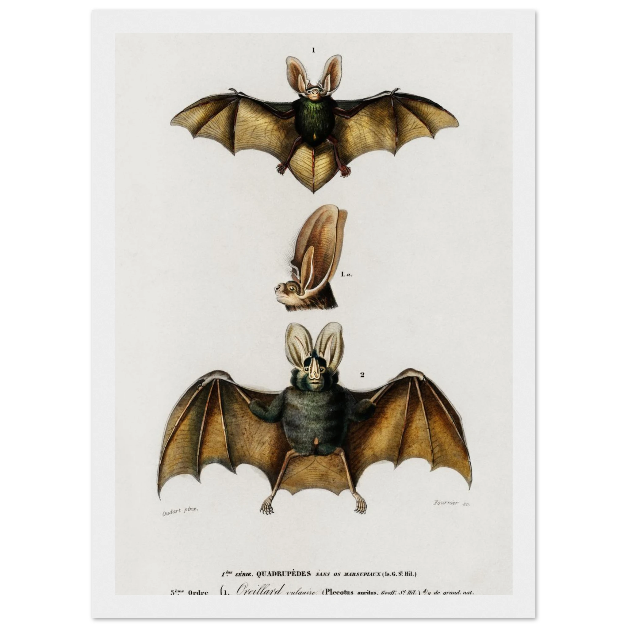 9e326cfe-dfa4-411e-b67e-ae675b6b4541