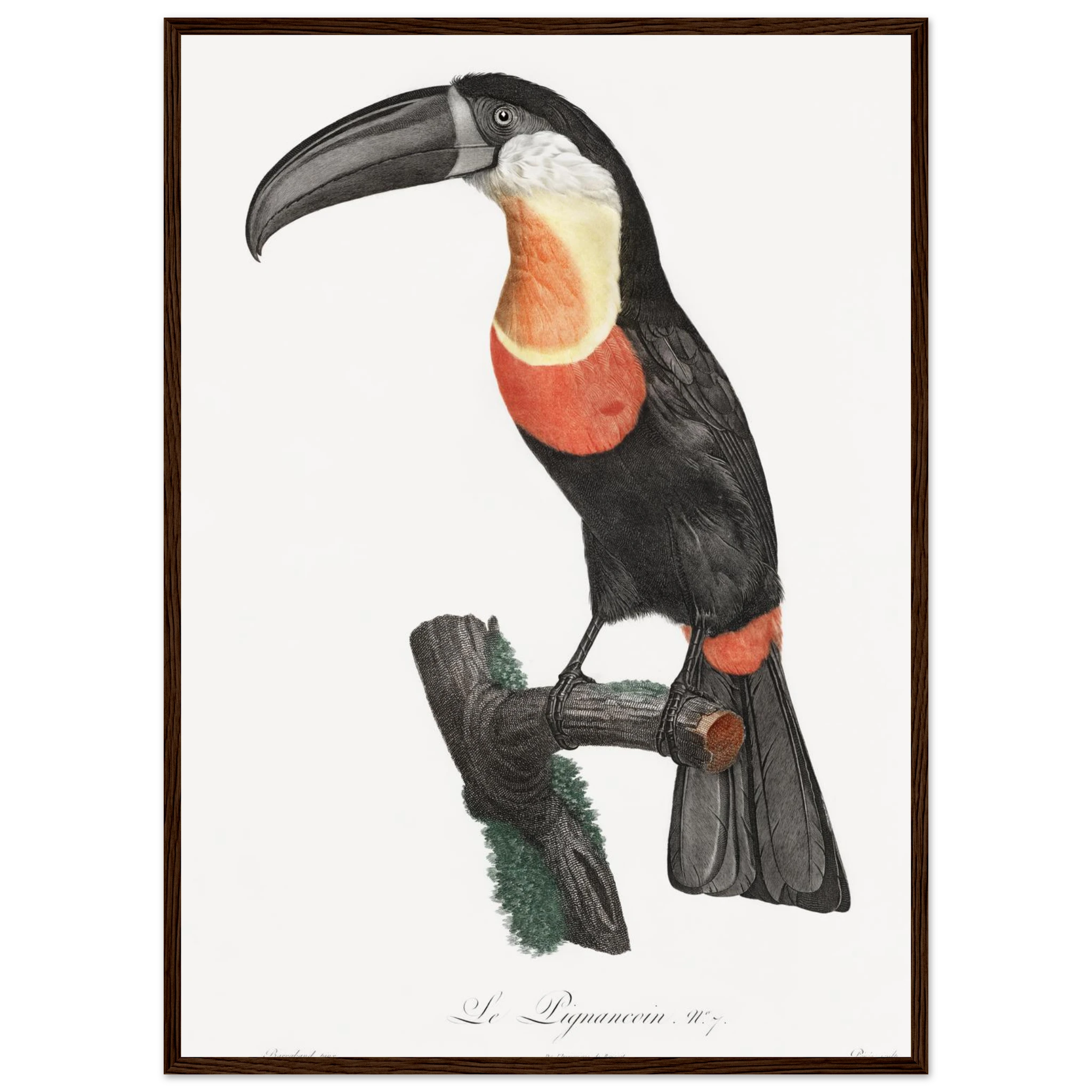 9e7d0ccc-5b47-4206-8b27-3100f27bb9cd