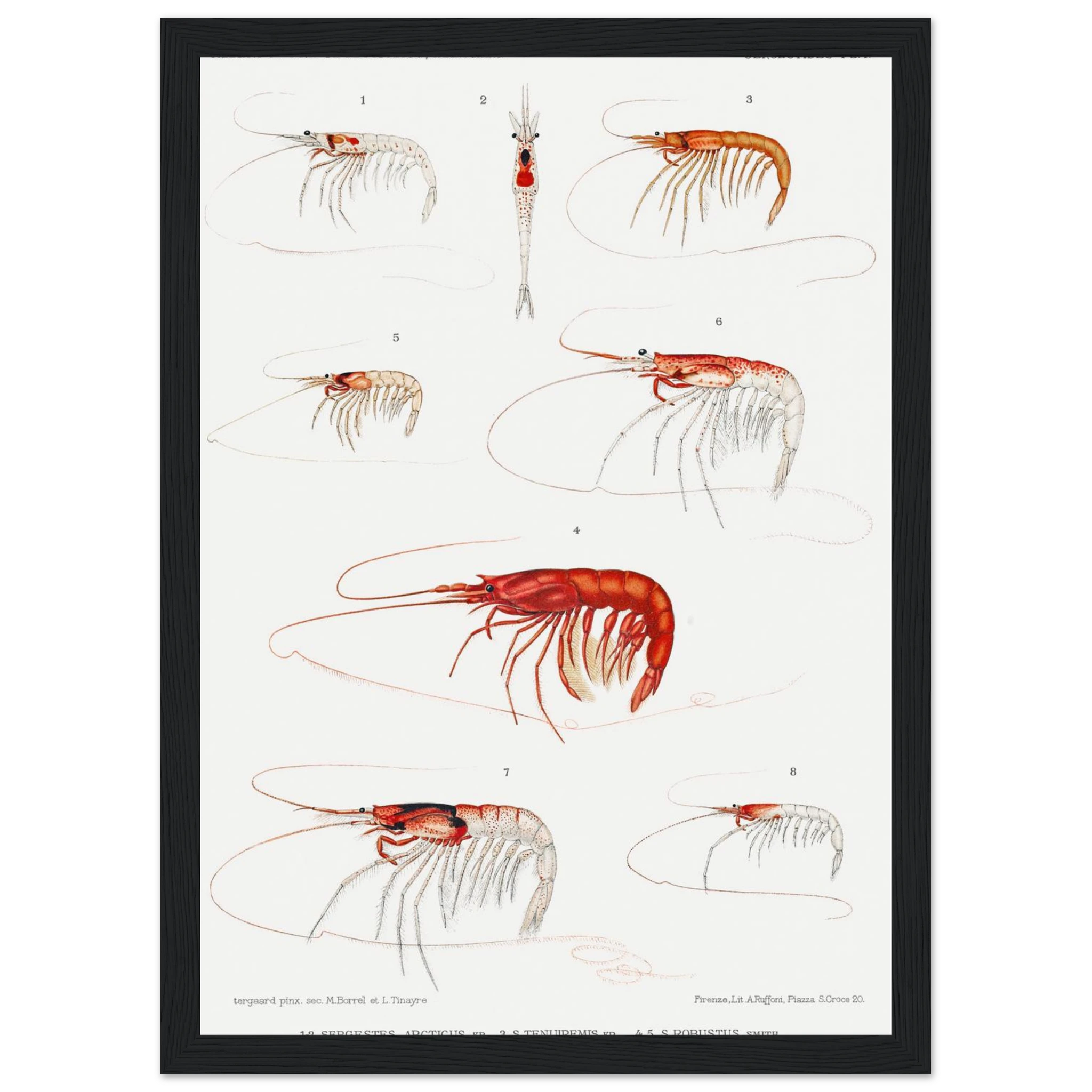 9ed82bad-ad7a-4791-8b4c-8be1bf1cee83