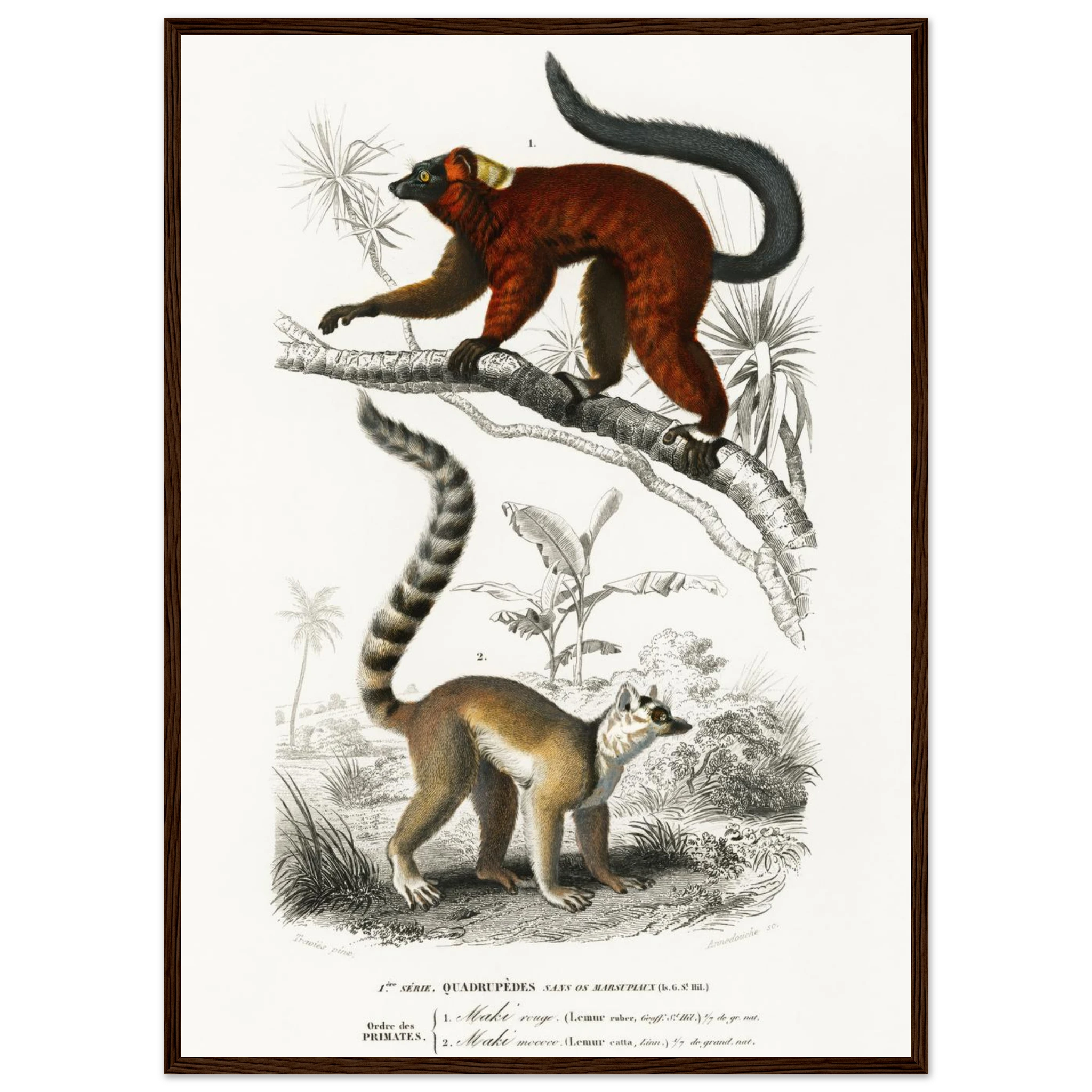 9ef868bb-e08d-492a-a4ce-63f7cdd96cf2