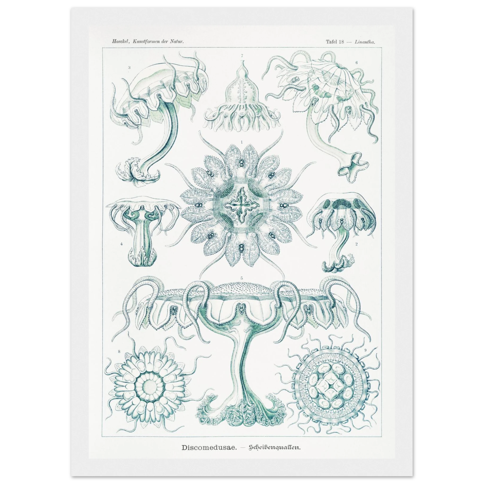 9f252ab2-b04b-4493-bdc0-d04e5e28d2d7