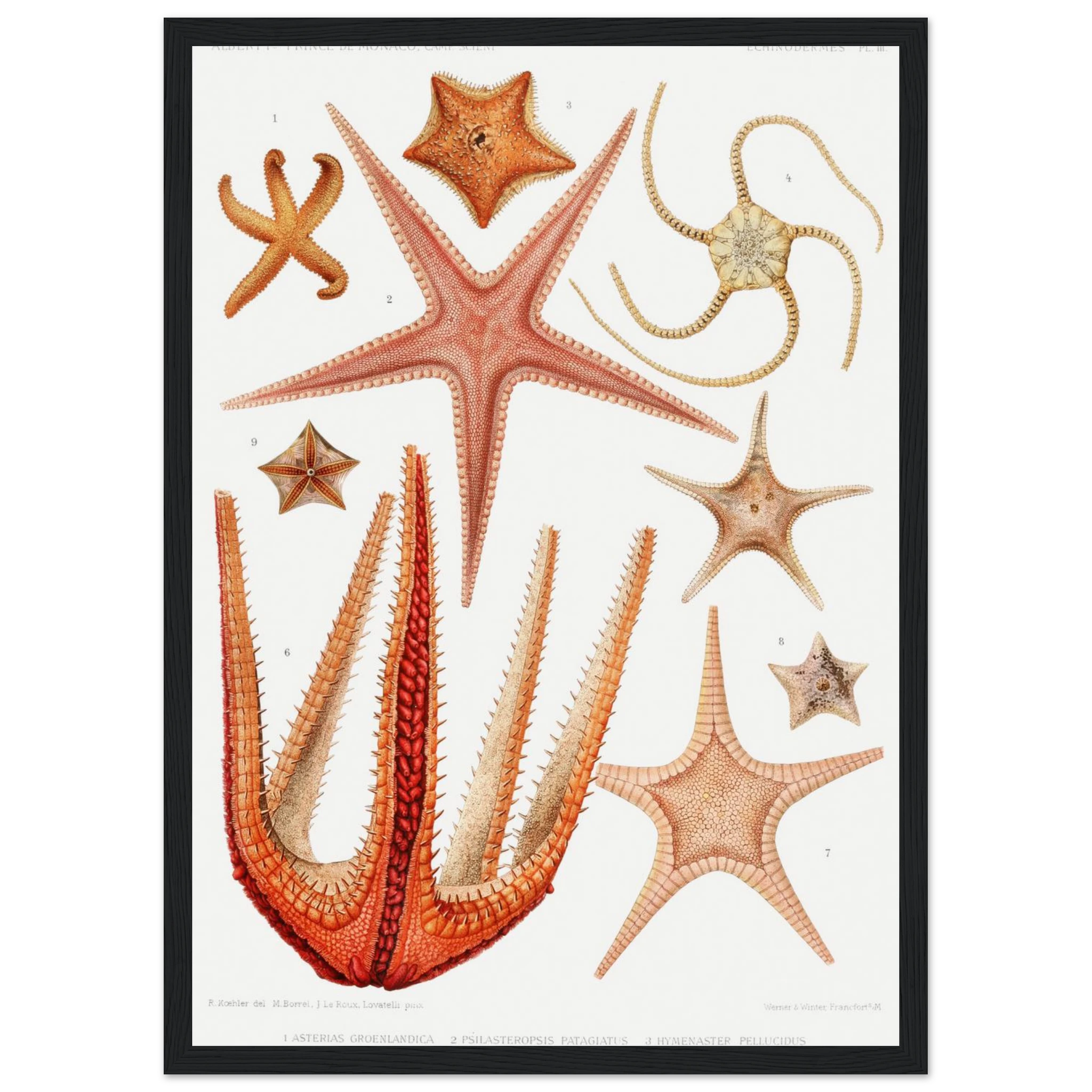 9f631f10-4c24-41b4-9265-2e3345442427