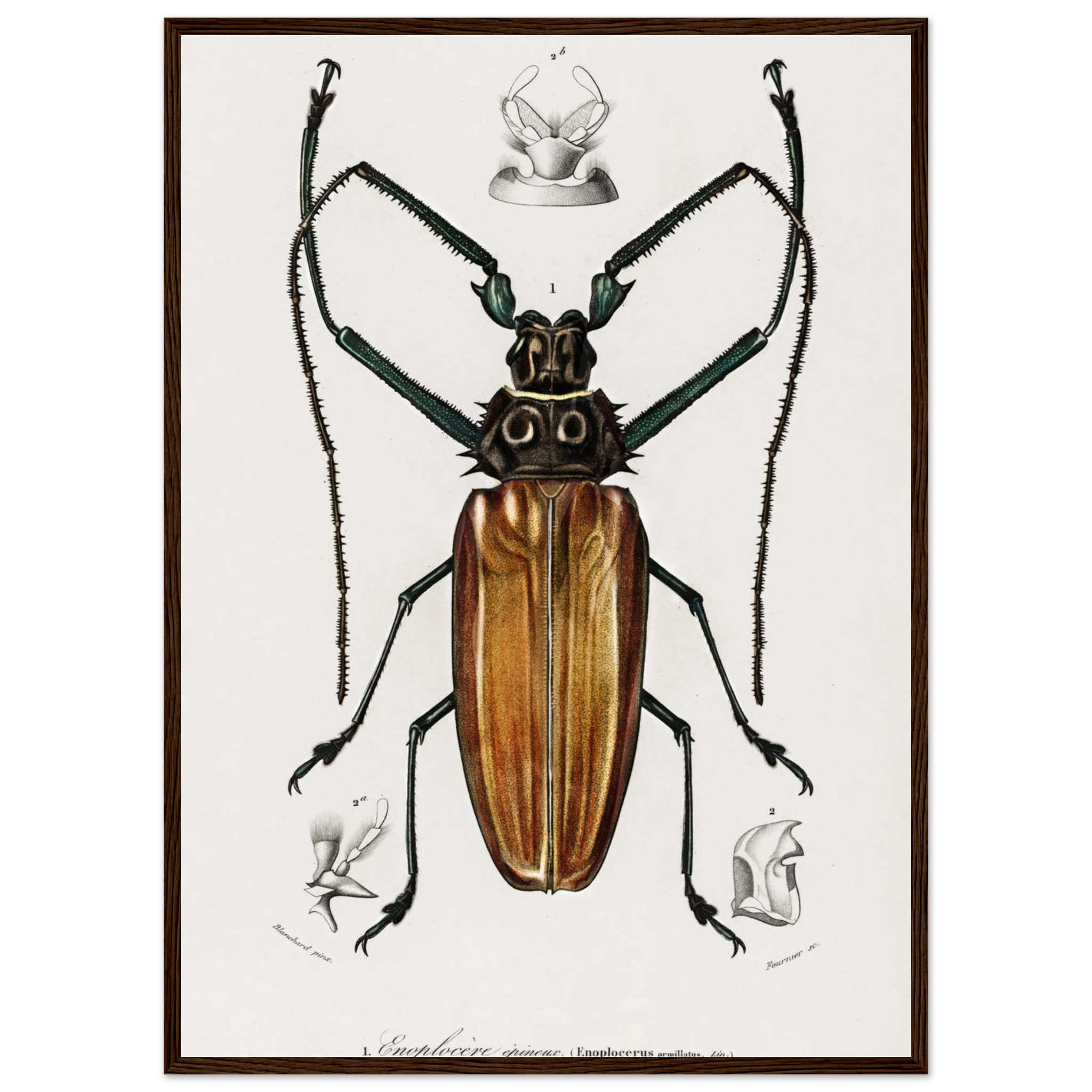 9f87dd16-25fd-42fc-ac95-63e95a44187c