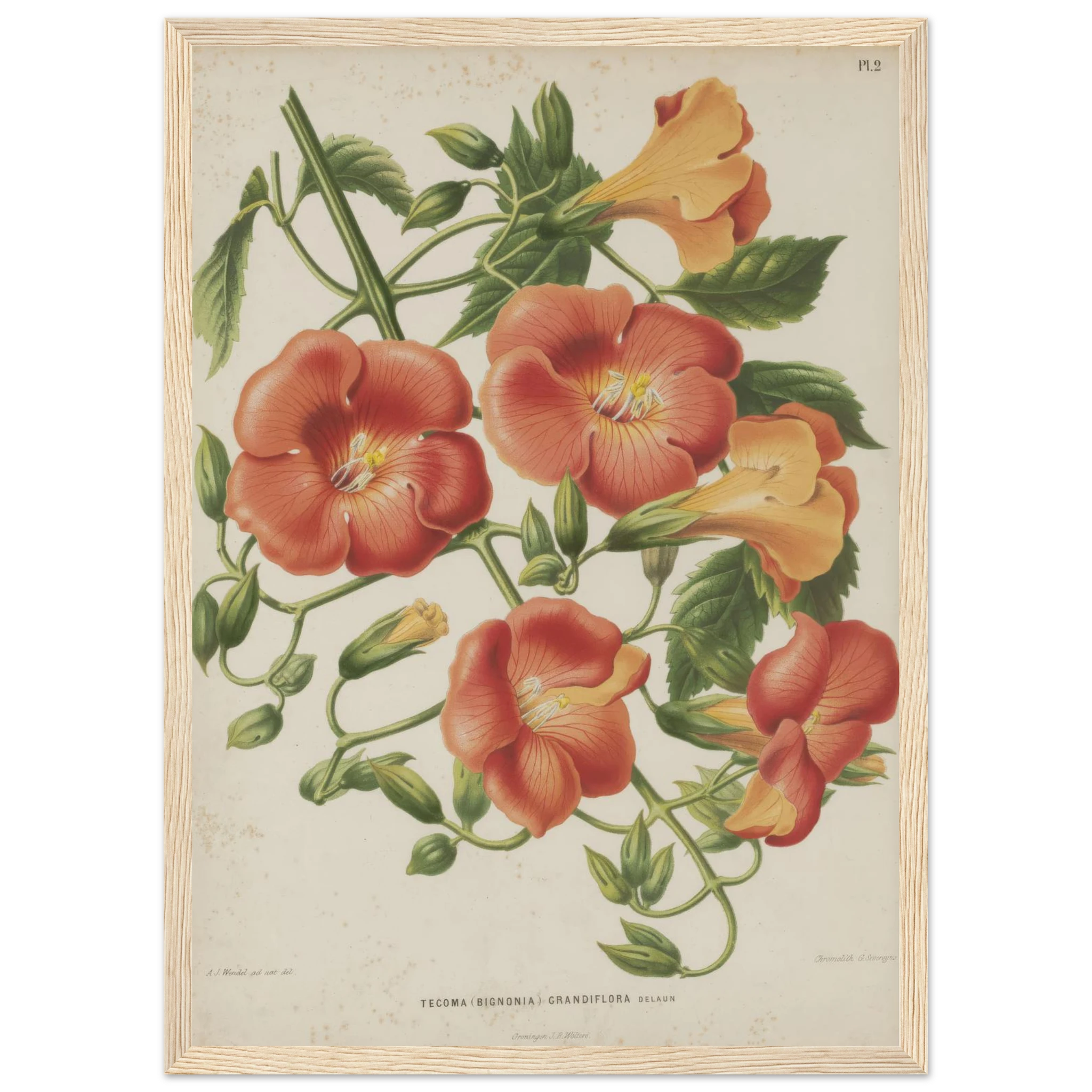 9fce64e7-731c-41df-a0cd-13ce7bf903a8