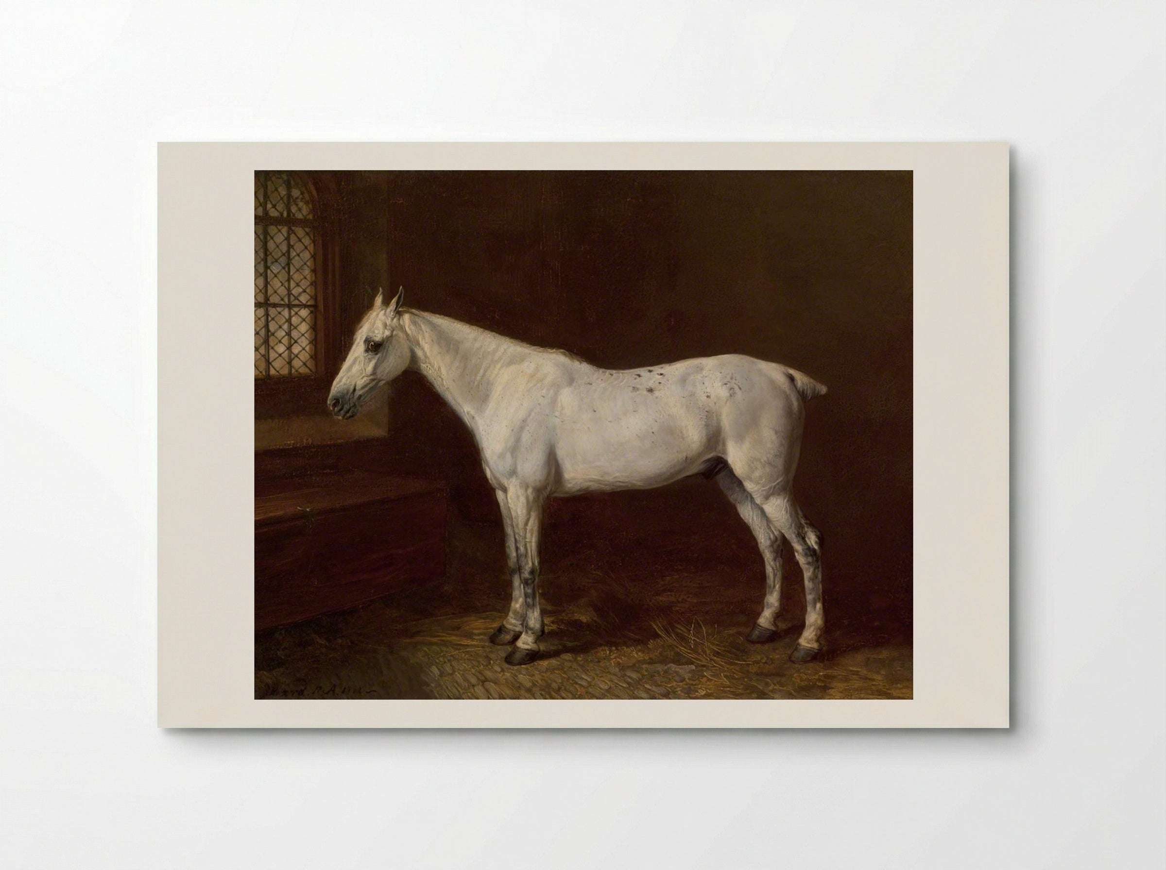 A Grey in a Stable - James Ward - Poster