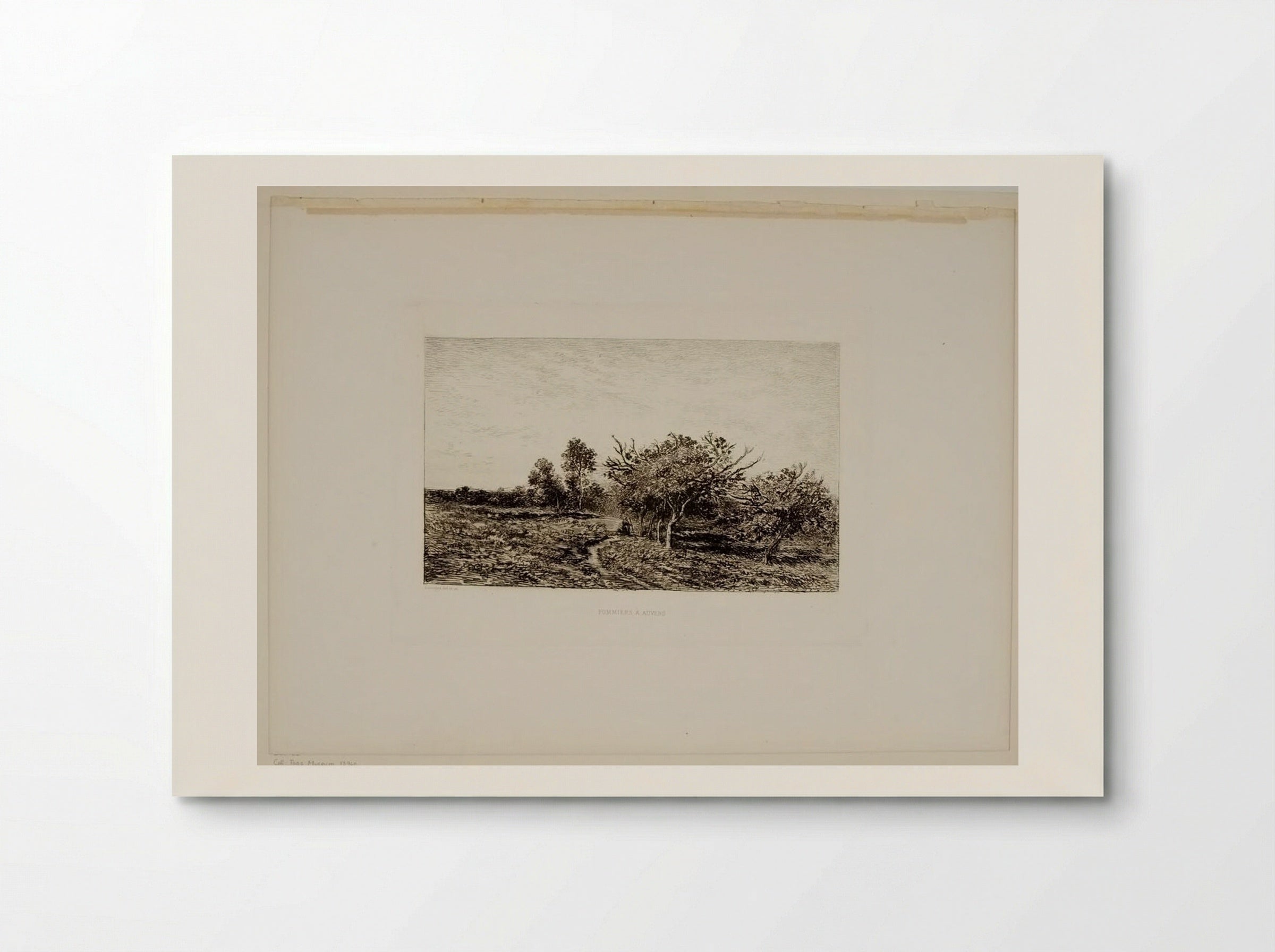 Apple Trees at Auvers - Charles-François Daubigny - Poster
