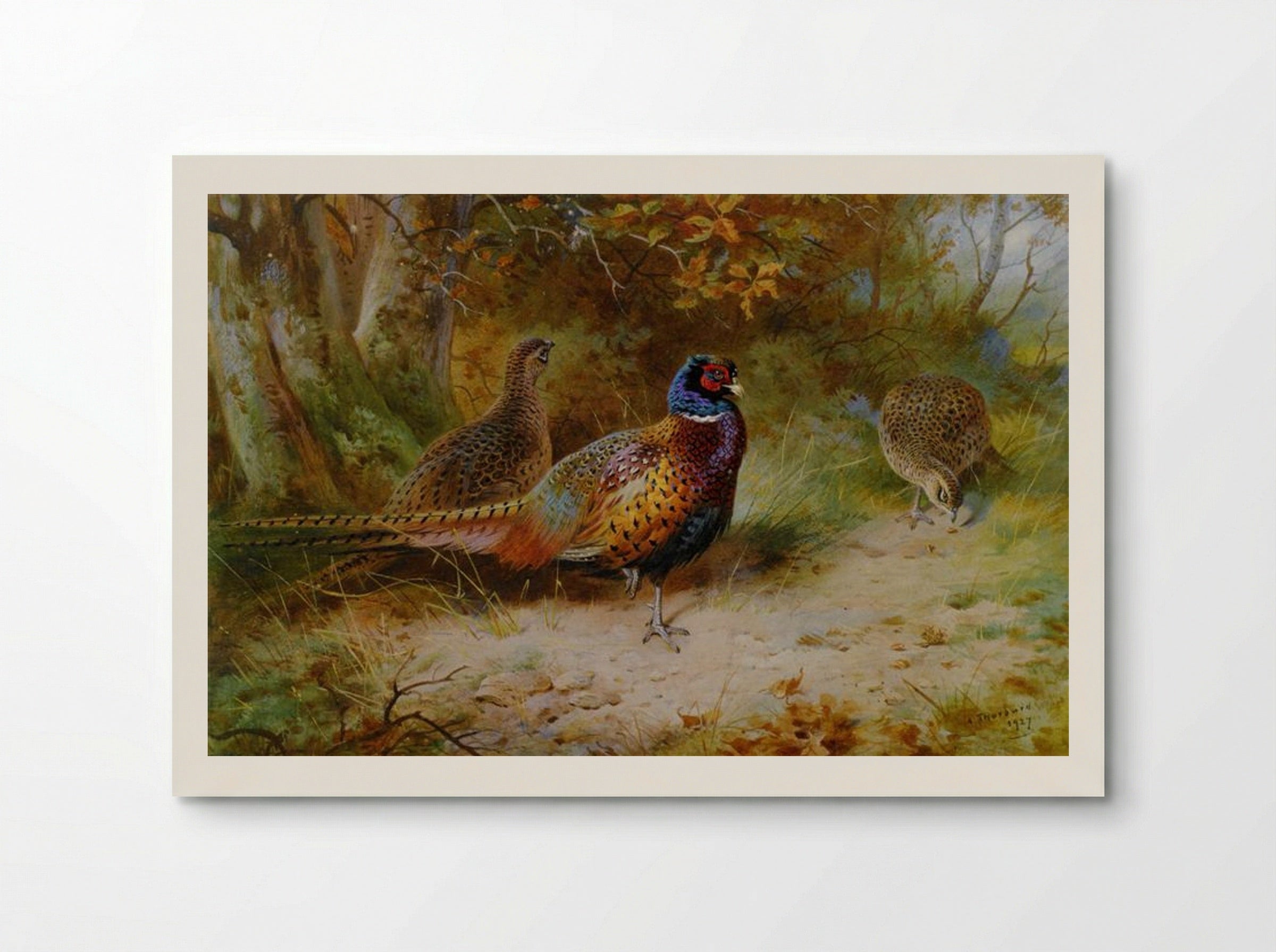 Autumn Covert - Archibald Thorburn - Poster