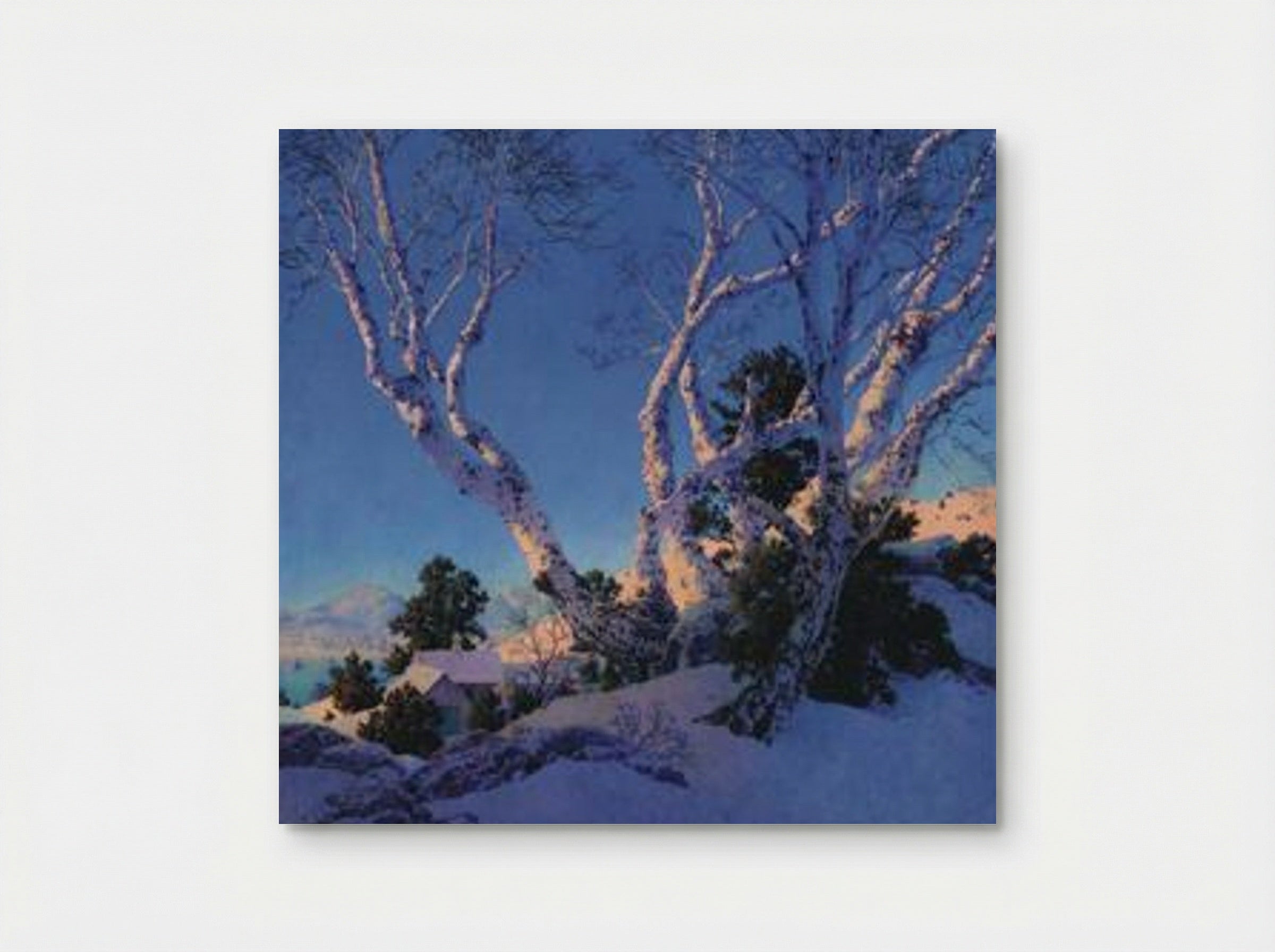 Birches in Winter - Maxfield Parrish - Poster