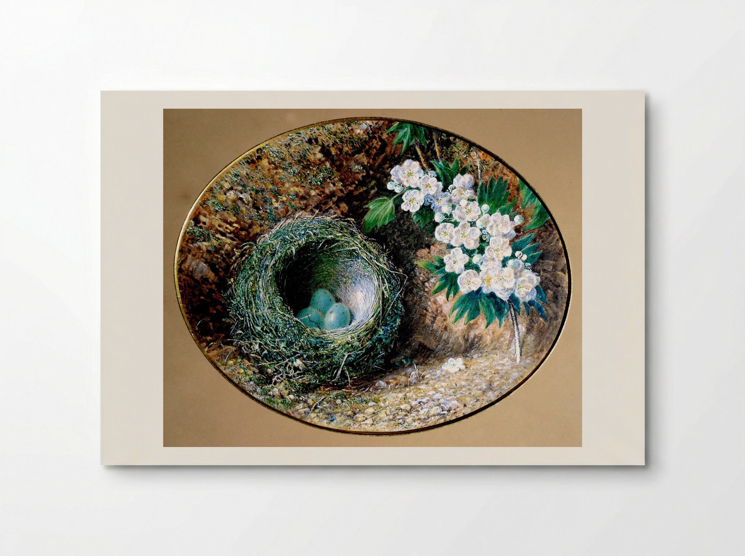Bird's Nest with Hawthorn Blossom - William Henry Hunt - Poster