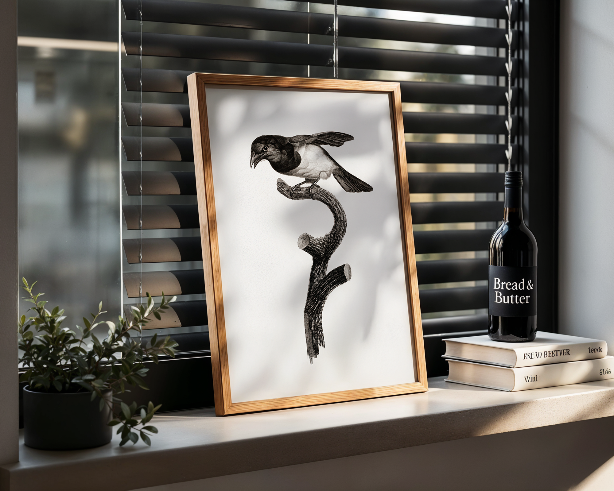 Black-barbet-from-Histoire-Naturelle-des-Oiseaux-de-Paradis-et-Des-Rolliers-(1806)-by-Jacques-Barraband_final mockup