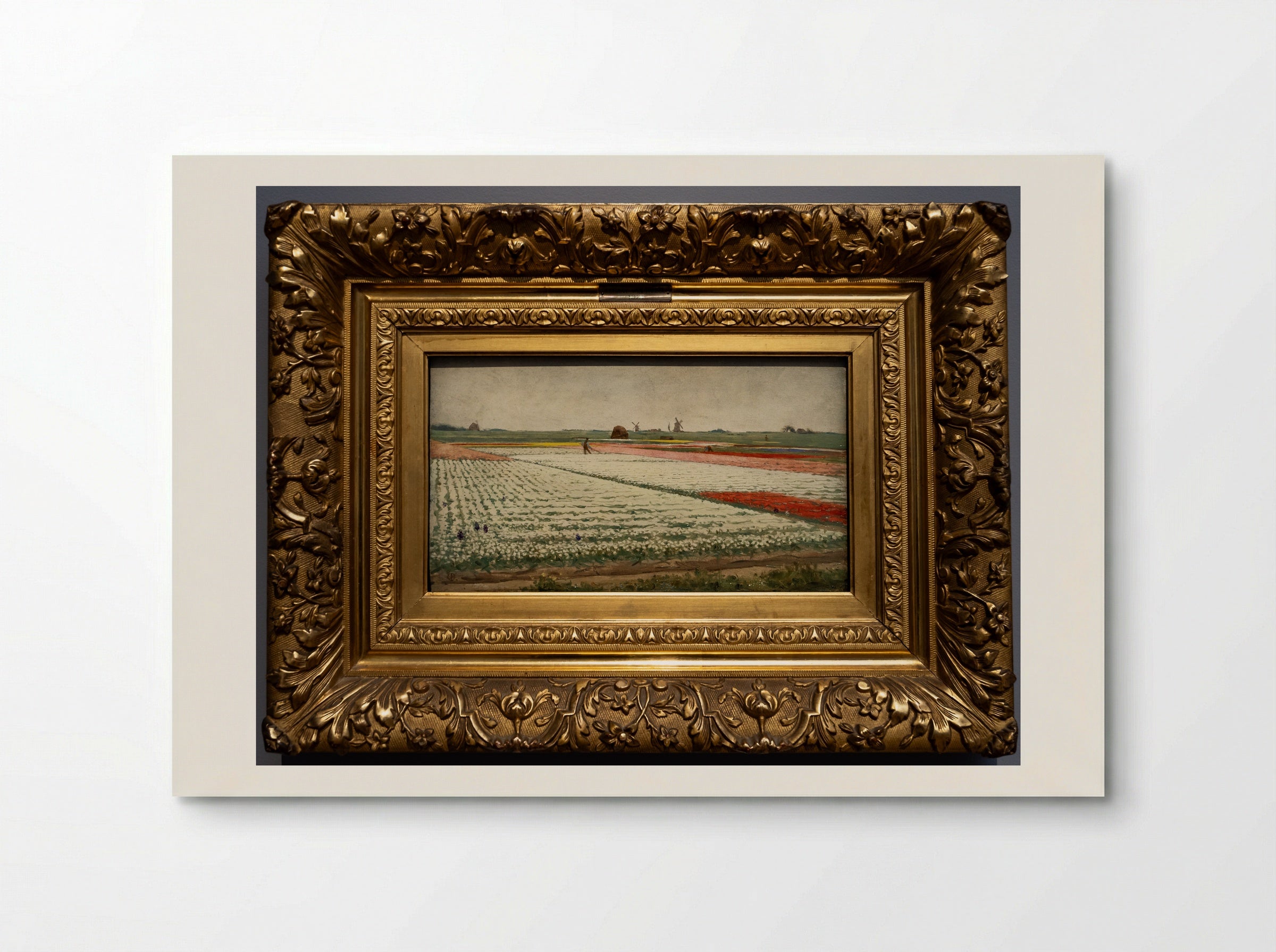 Bulb Fields - Gerrit Willem Dijsselhof - Poster
