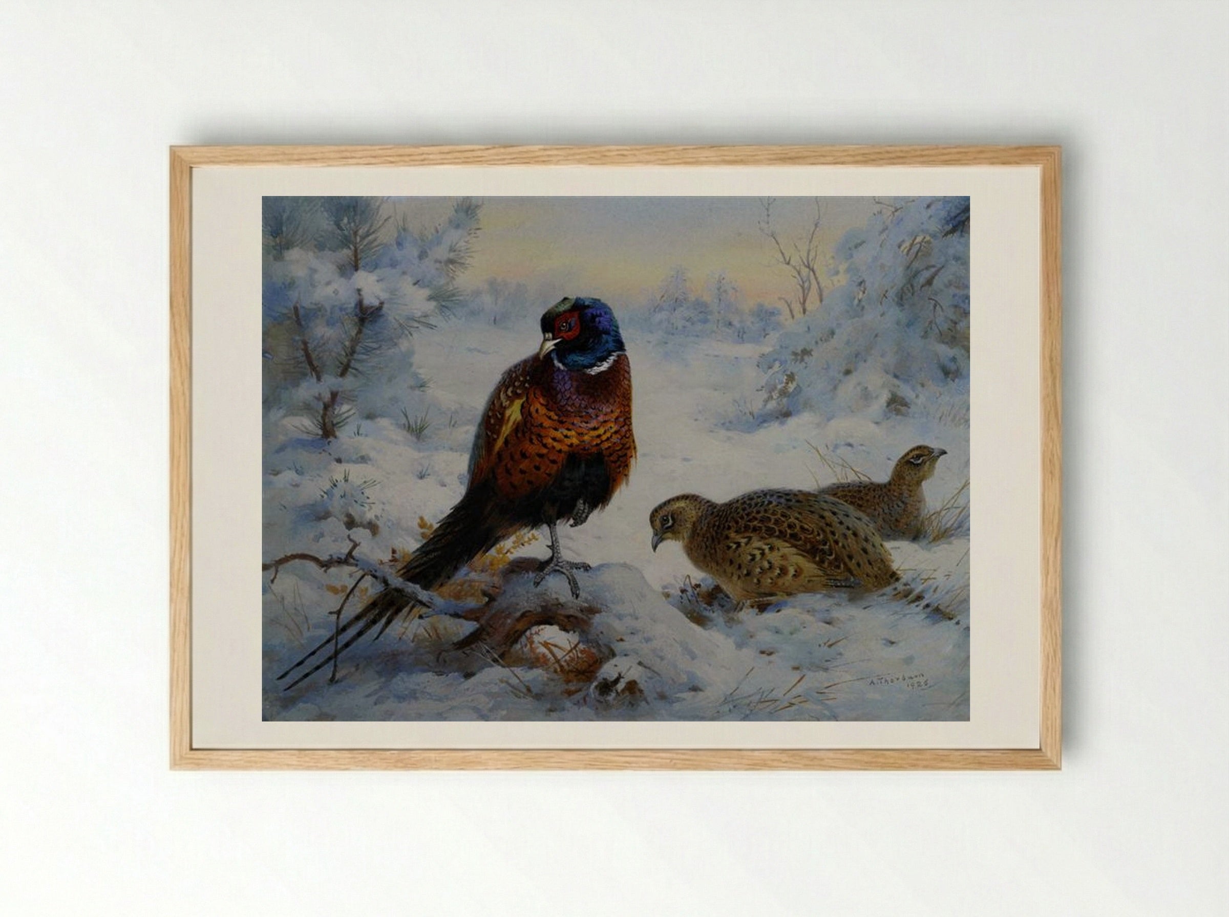 Cock and Hen Pheasant in Winter - Archibald Thorburn - Framed Print Wood