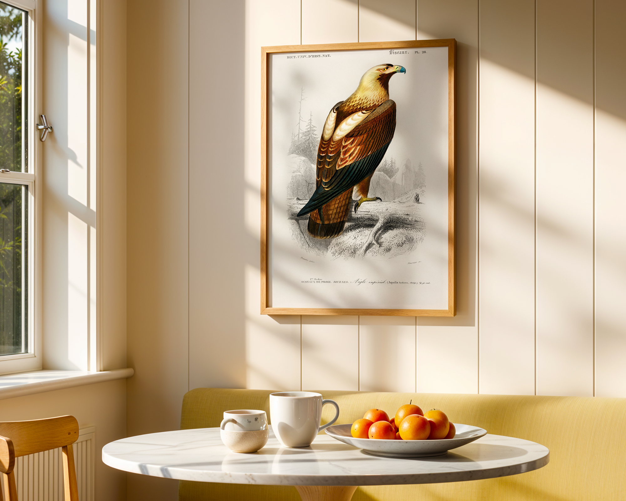 Eastern-imperial-eagle-(Aquila-heliaca)-illustrated-by-Charles-Dessalines-D_-Orbigny_final mockup