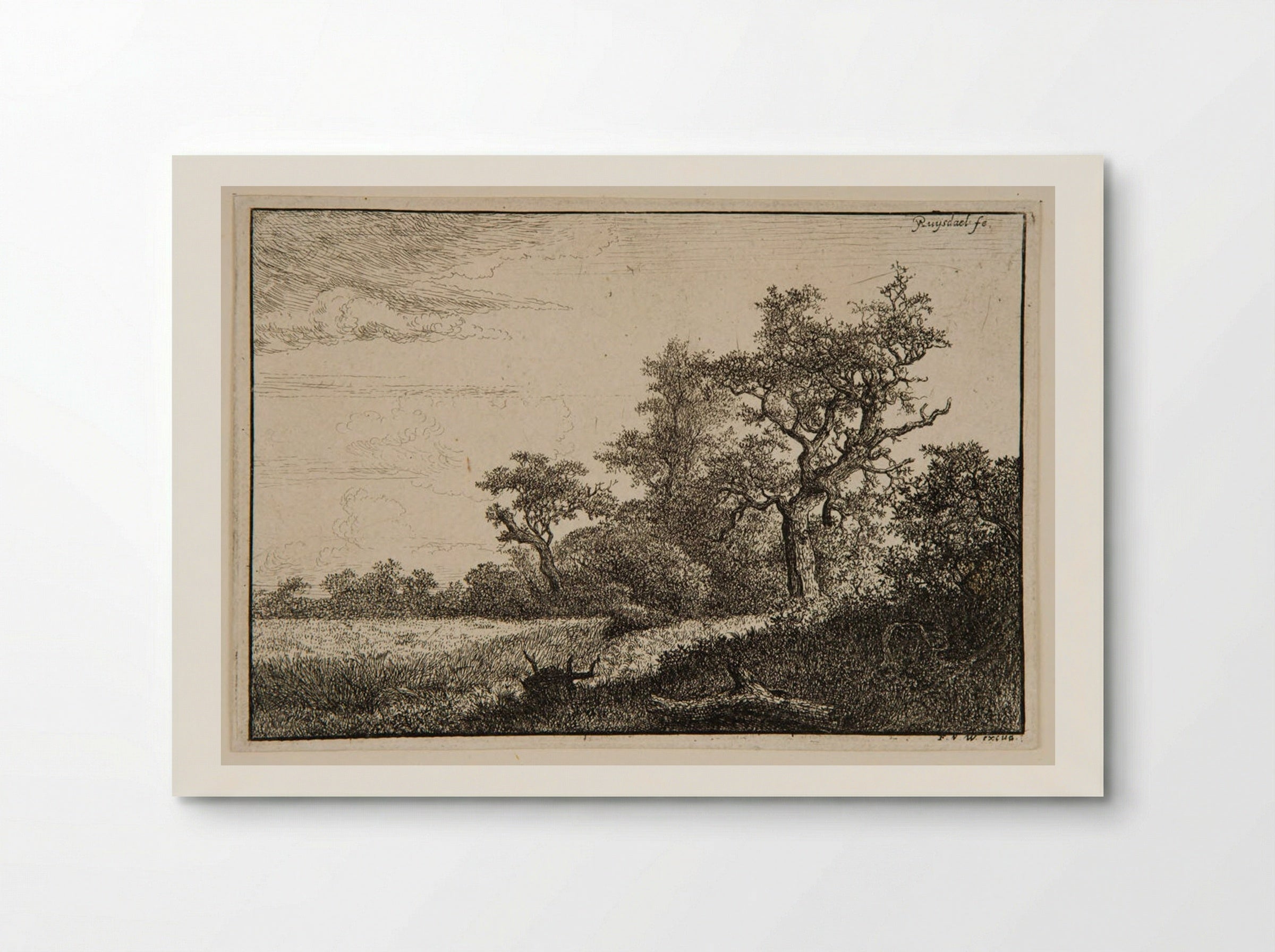 Field Bordered by Trees - Jacob van Ruisdael - Poster