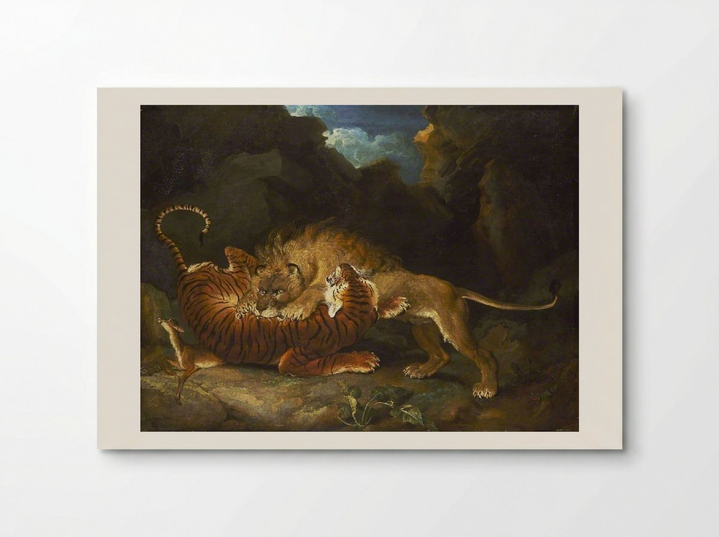 Fight between a Lion and a Tiger - James Ward - Poster