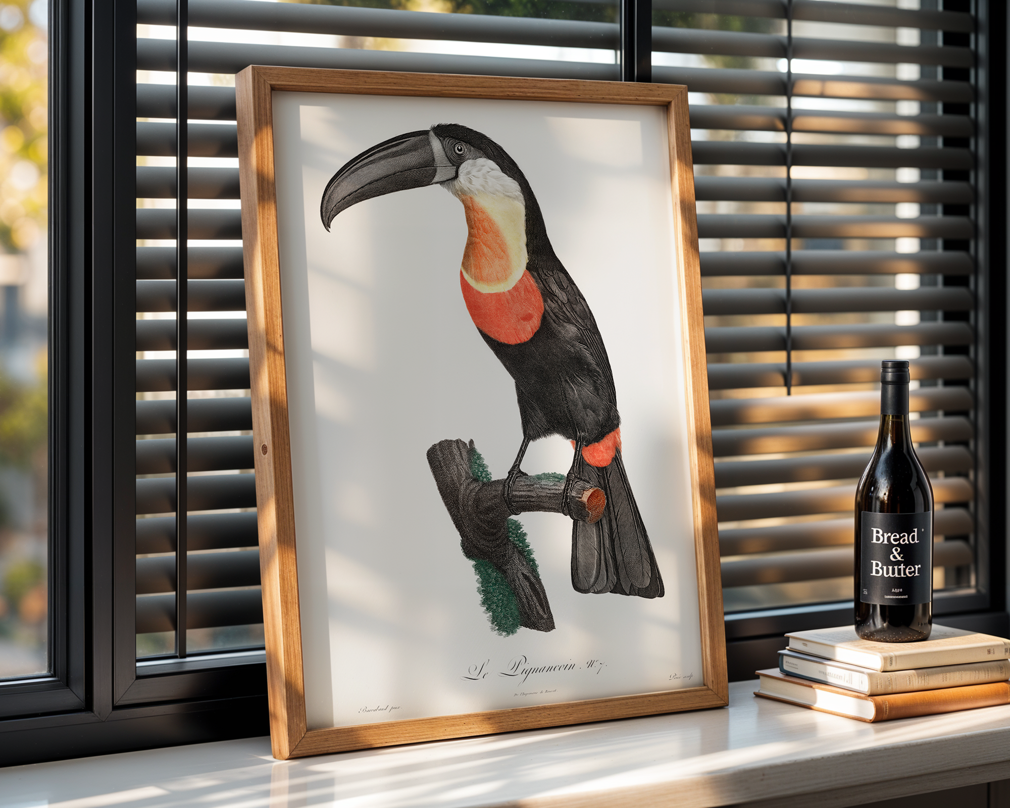 Green-billed-toucan-from-Histoire-Naturelle-des-Oiseaux-de-Paradis-et-Des-Rolliers-(1806)-by-Jacques-Barraband-1b_final mockup