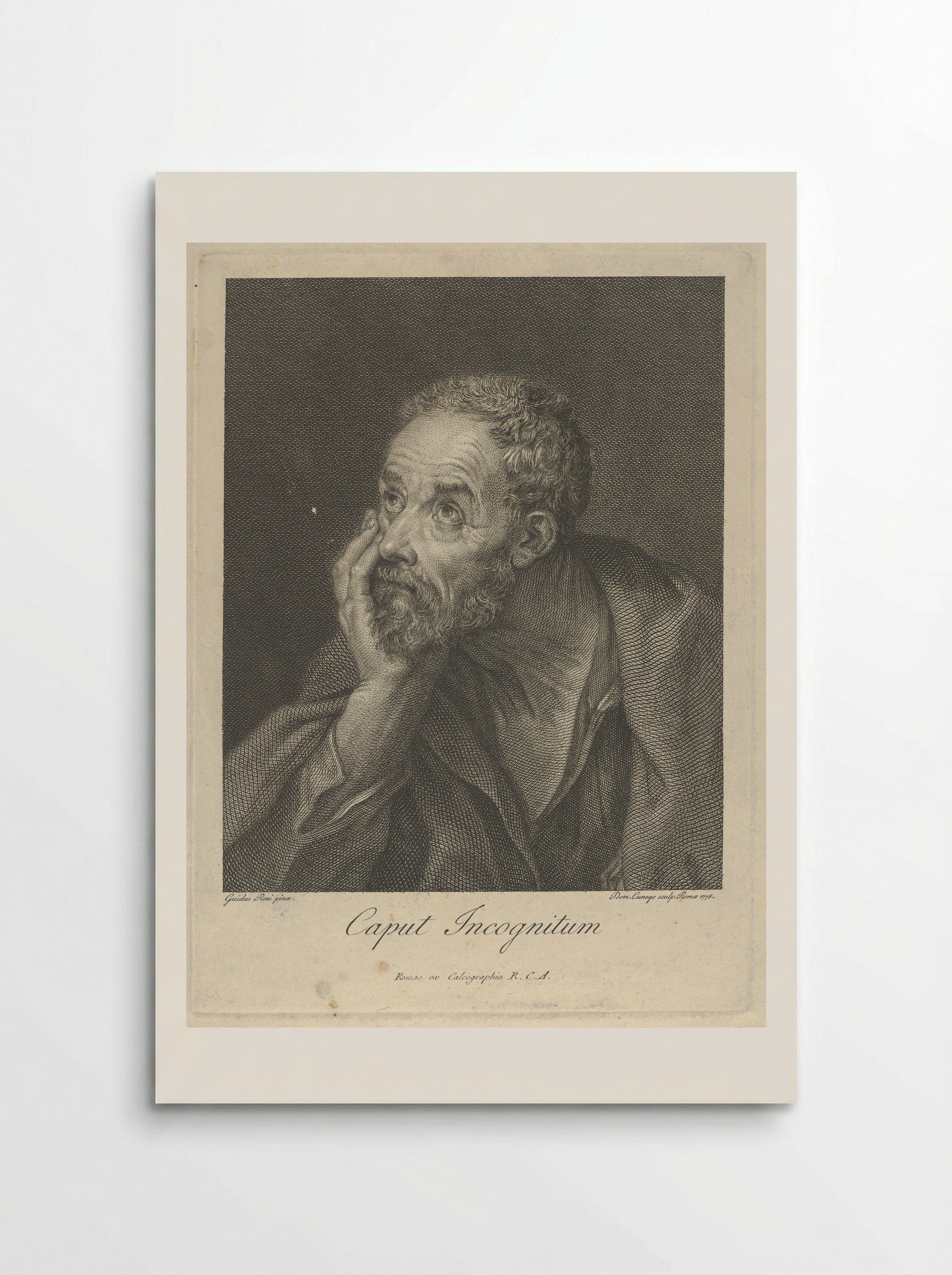 Head of a Bearded Man - Guido Reni - Poster