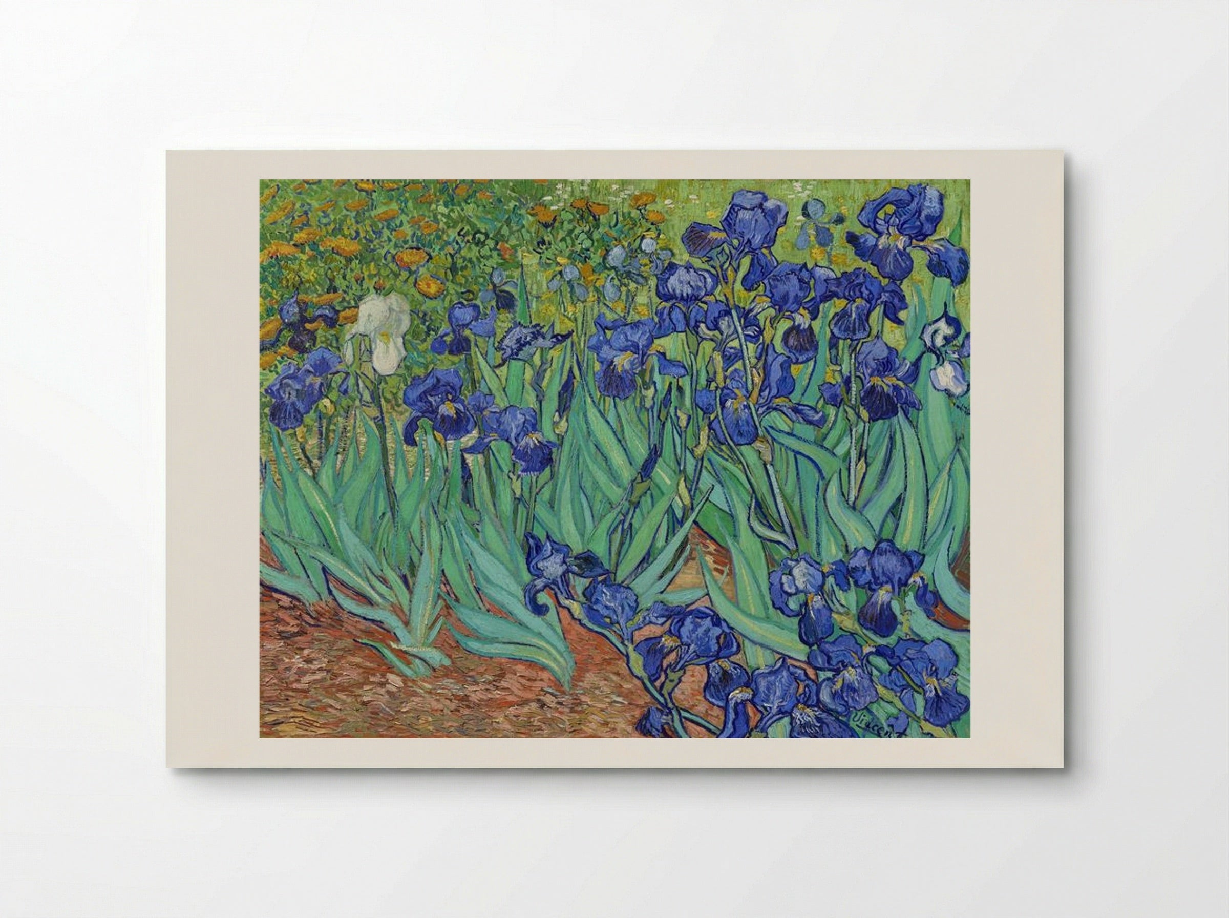 Irises - Vincent van Gogh - Poster