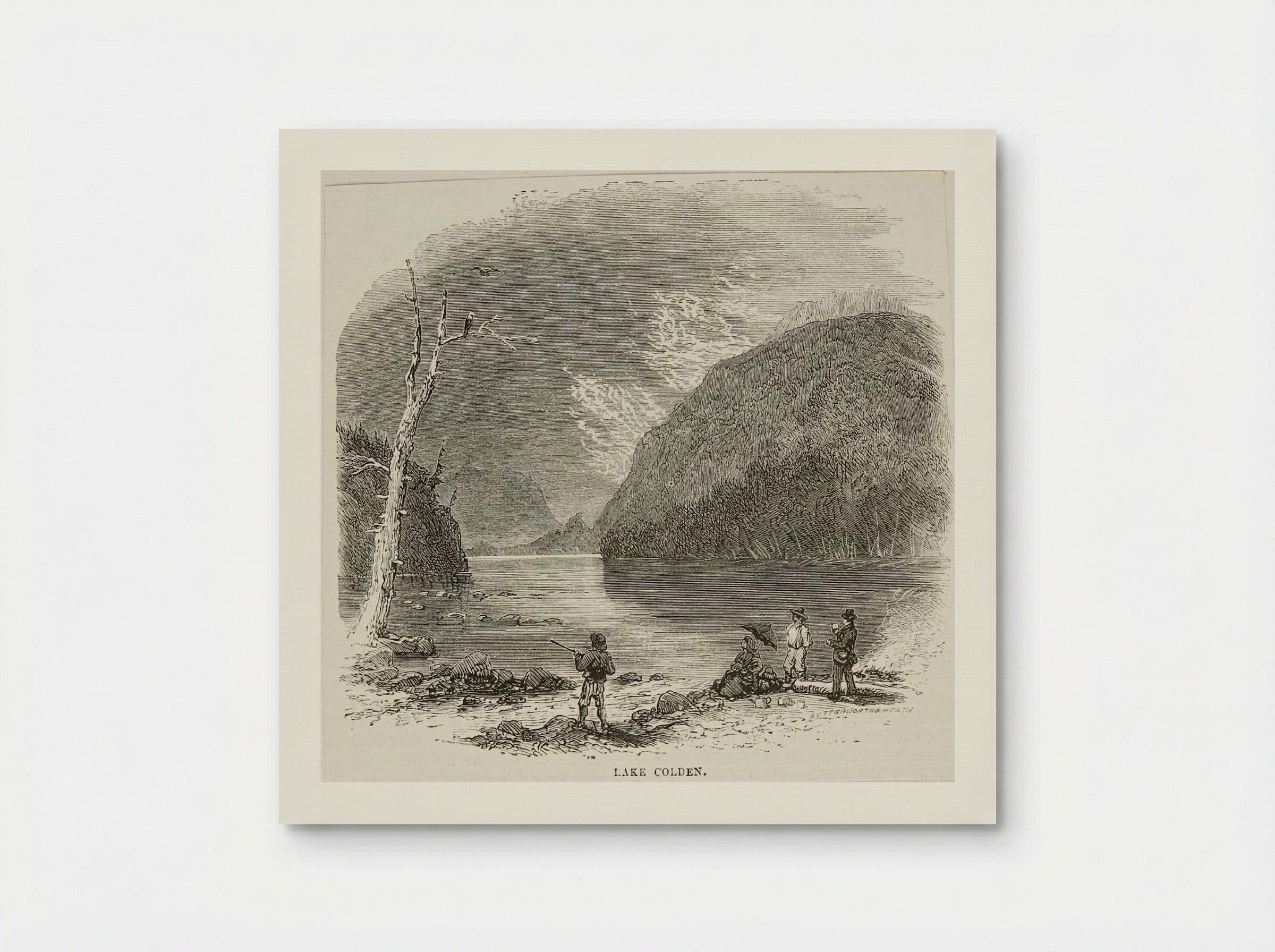 Lake Colden - Butterworth and Heath - Poster