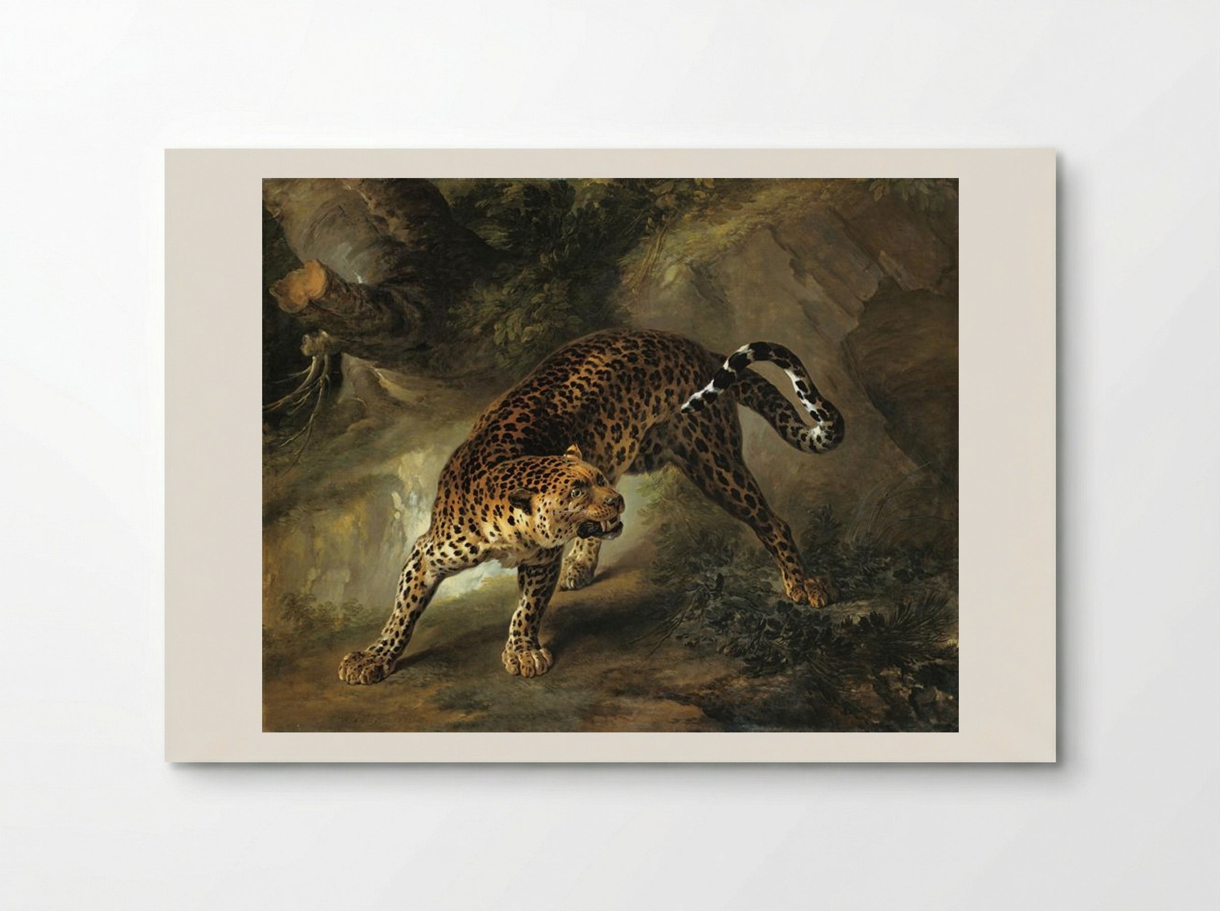 Leopard - Jean-Baptiste Oudry - Poster