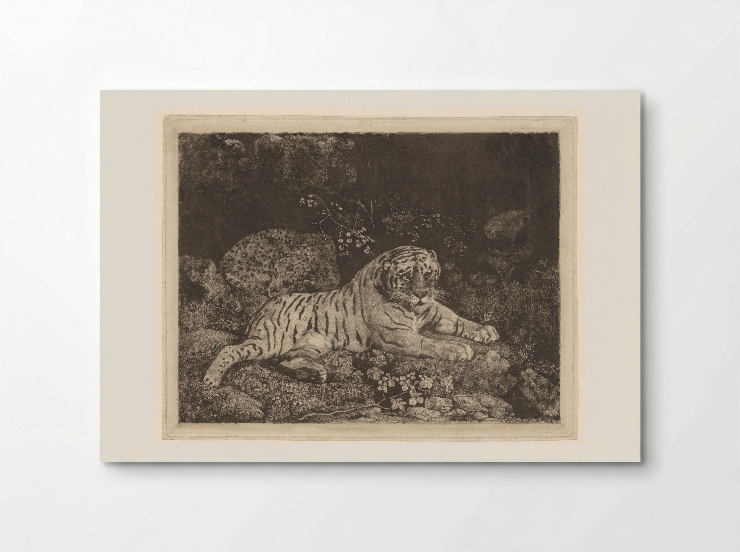 Liggende tijger en slapend jachtluipaard - George Stubbs - Poster