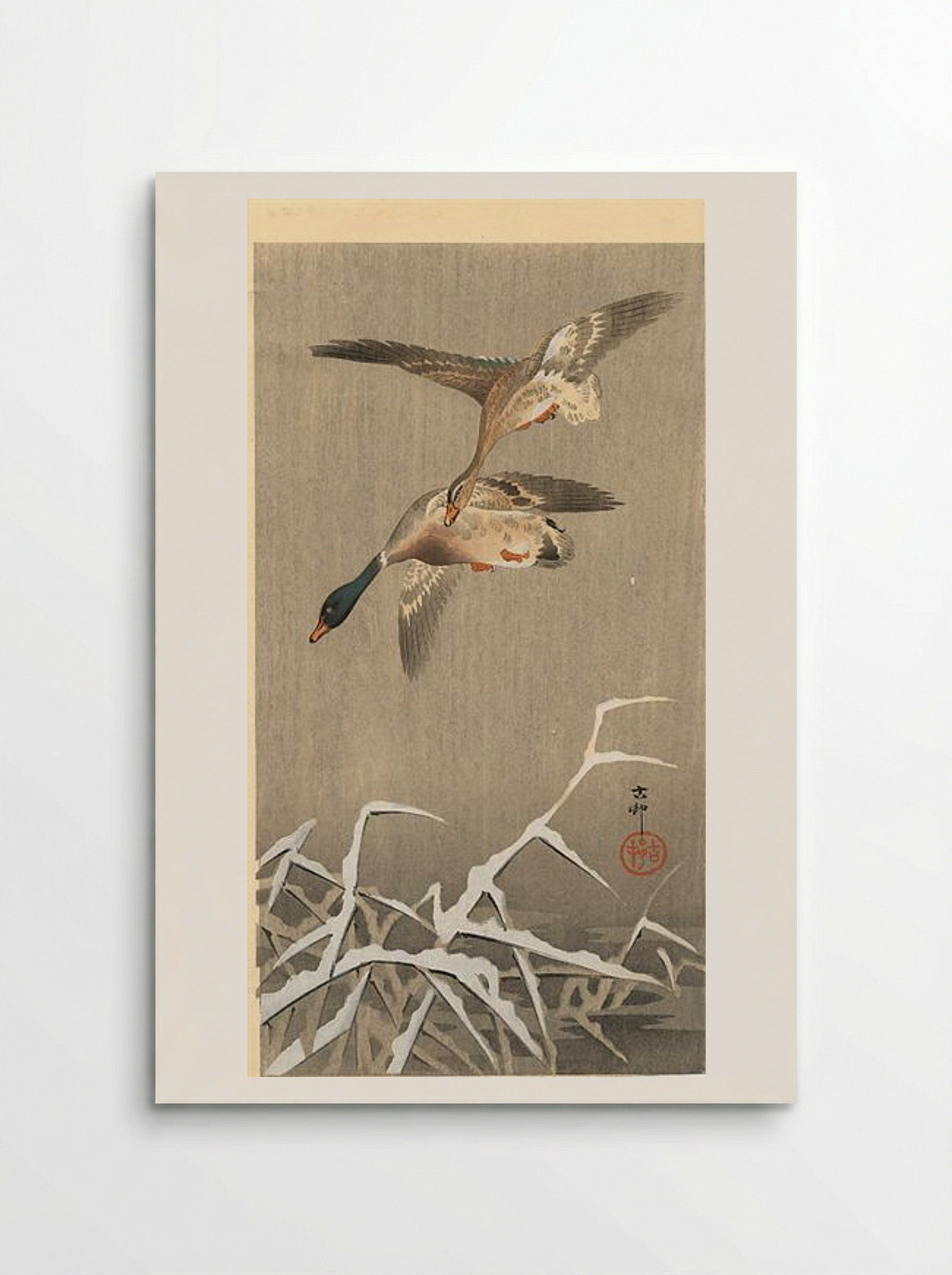 Mallards - Ohara Koson - Poster