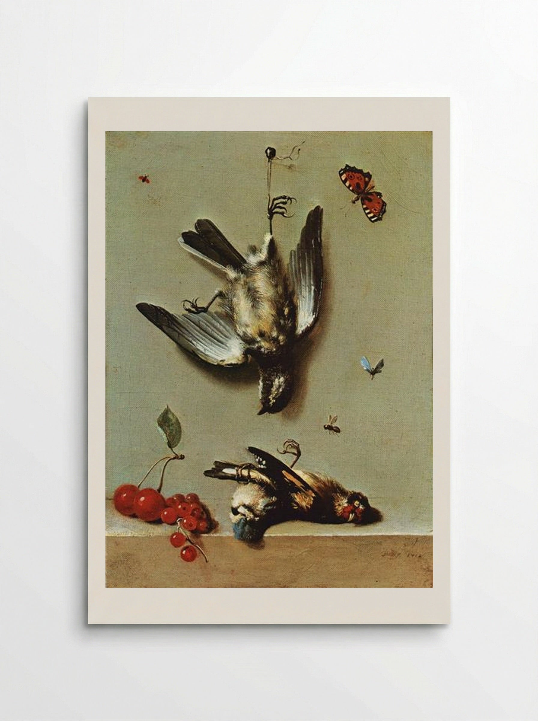 Nature morte avec oiseux morts et cerises - Jean-Baptiste Oudry - Poster