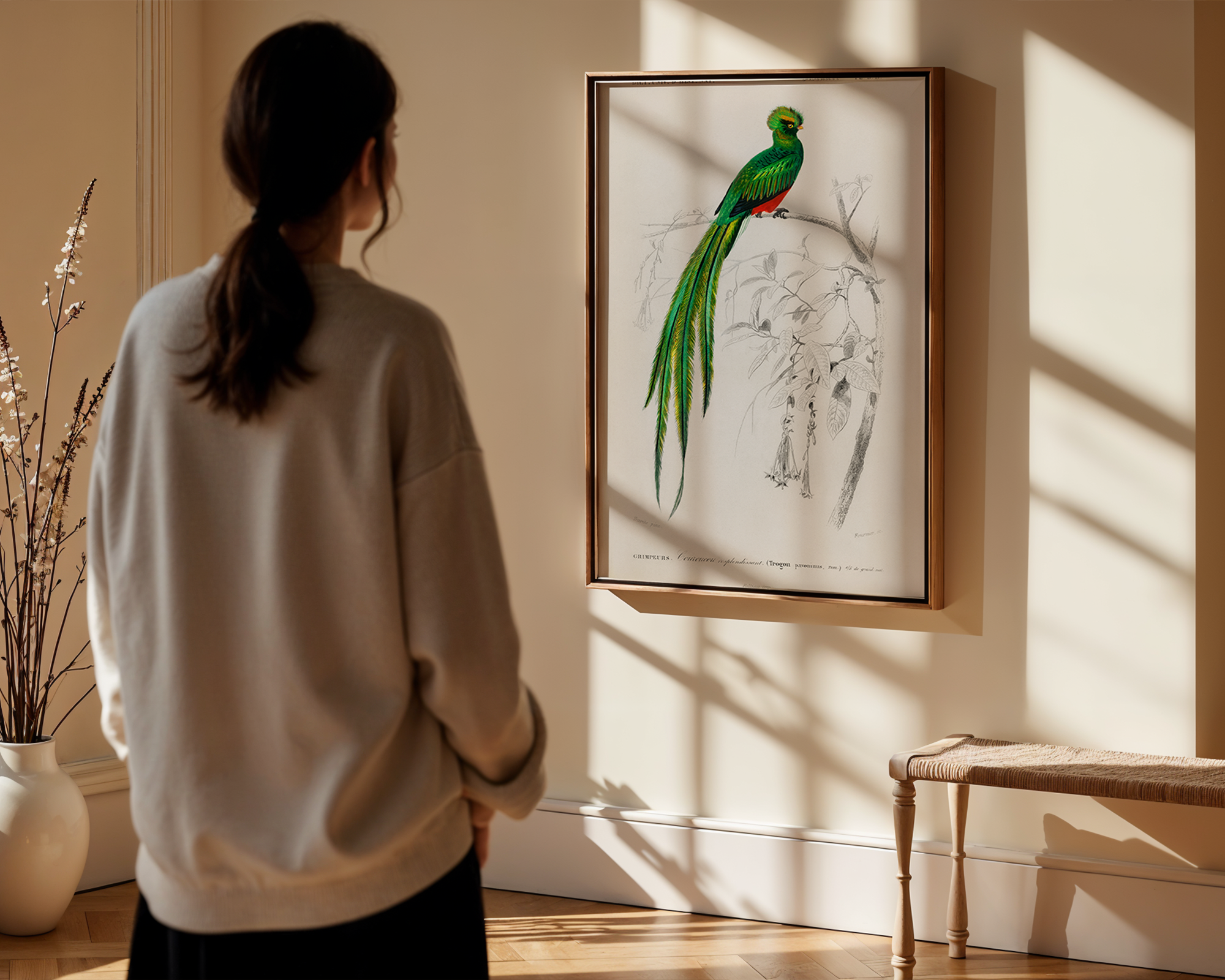 Pavonine-quetzal-(Pharomachrus-pavoninus)-illustrated-by-Charles-Dessalines-D_-Orbigny_final mockup