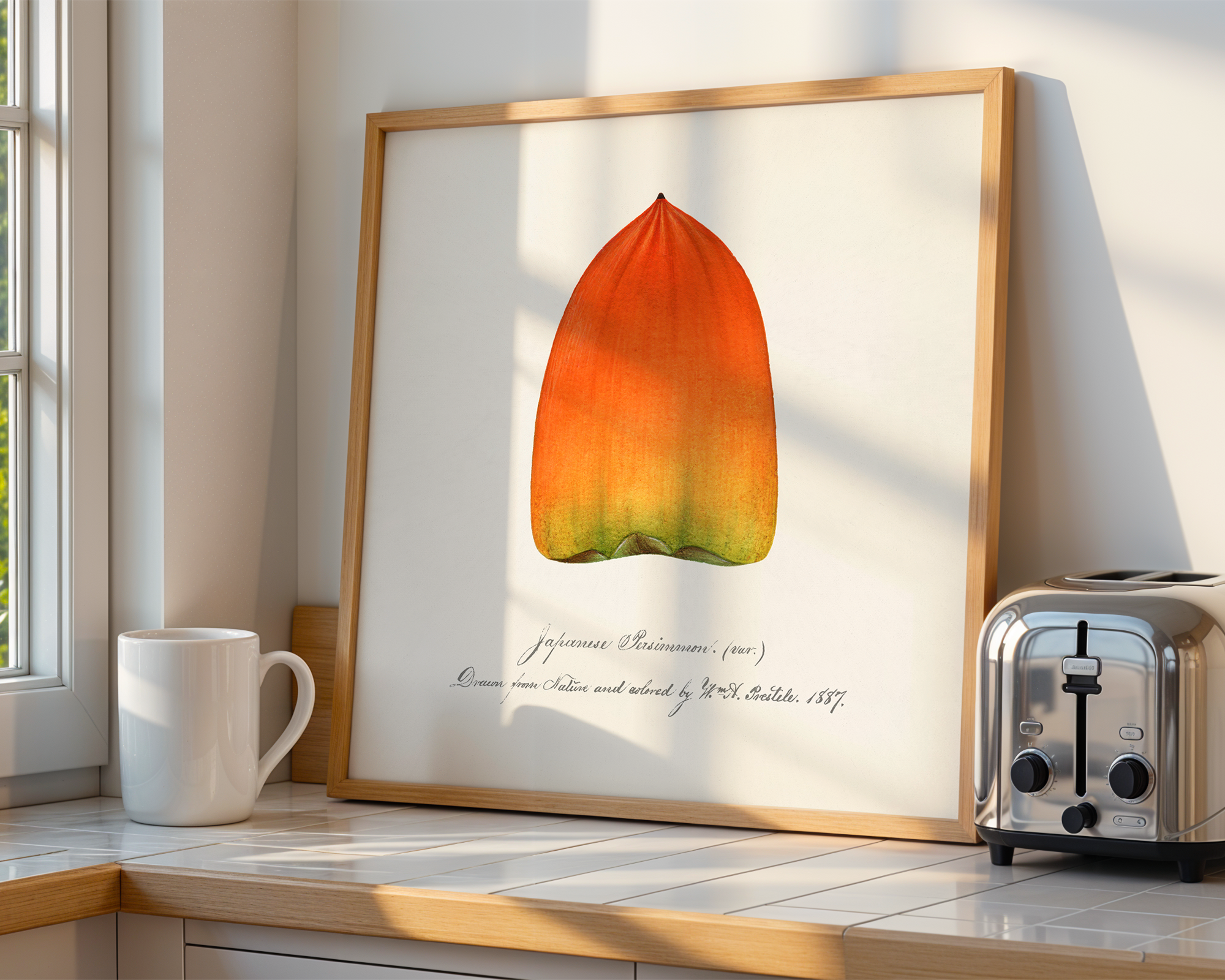 Persimmon-William-Henry-Prestele mockup