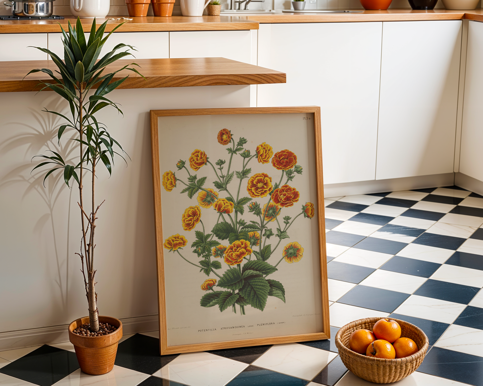 Potentilla-atrosanguinea_hq mockup