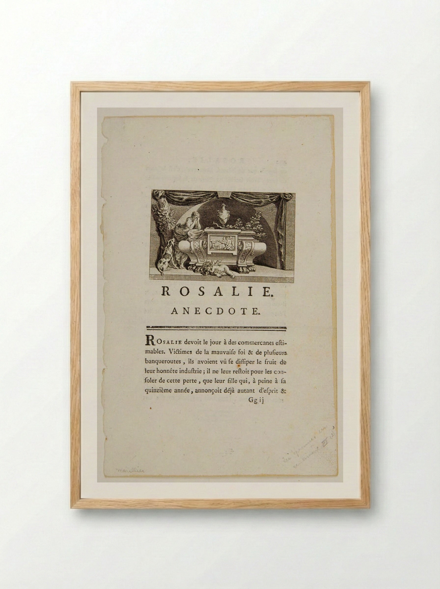 Rosalie: An Anecdote - Robert Delaunay - Framed Print Wood
