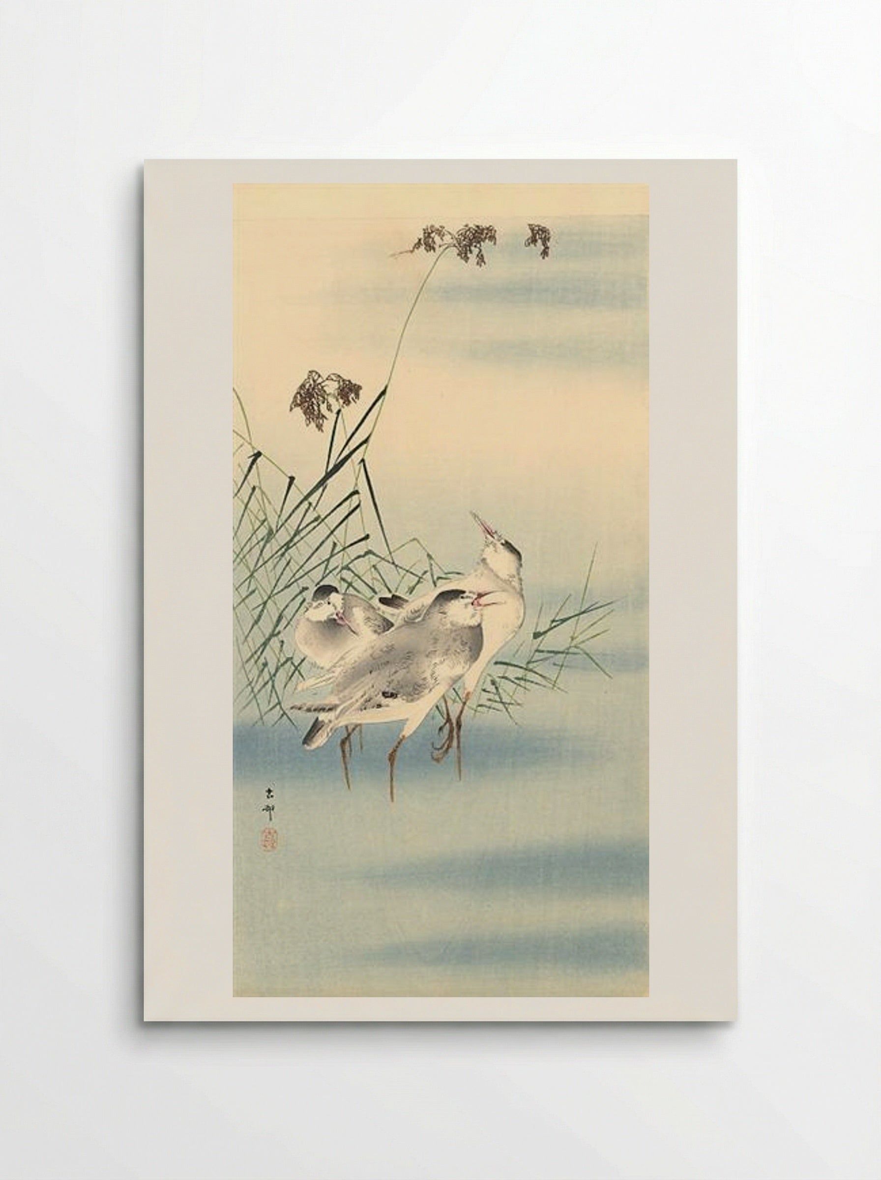Sandpipers - Ohara Koson - Poster