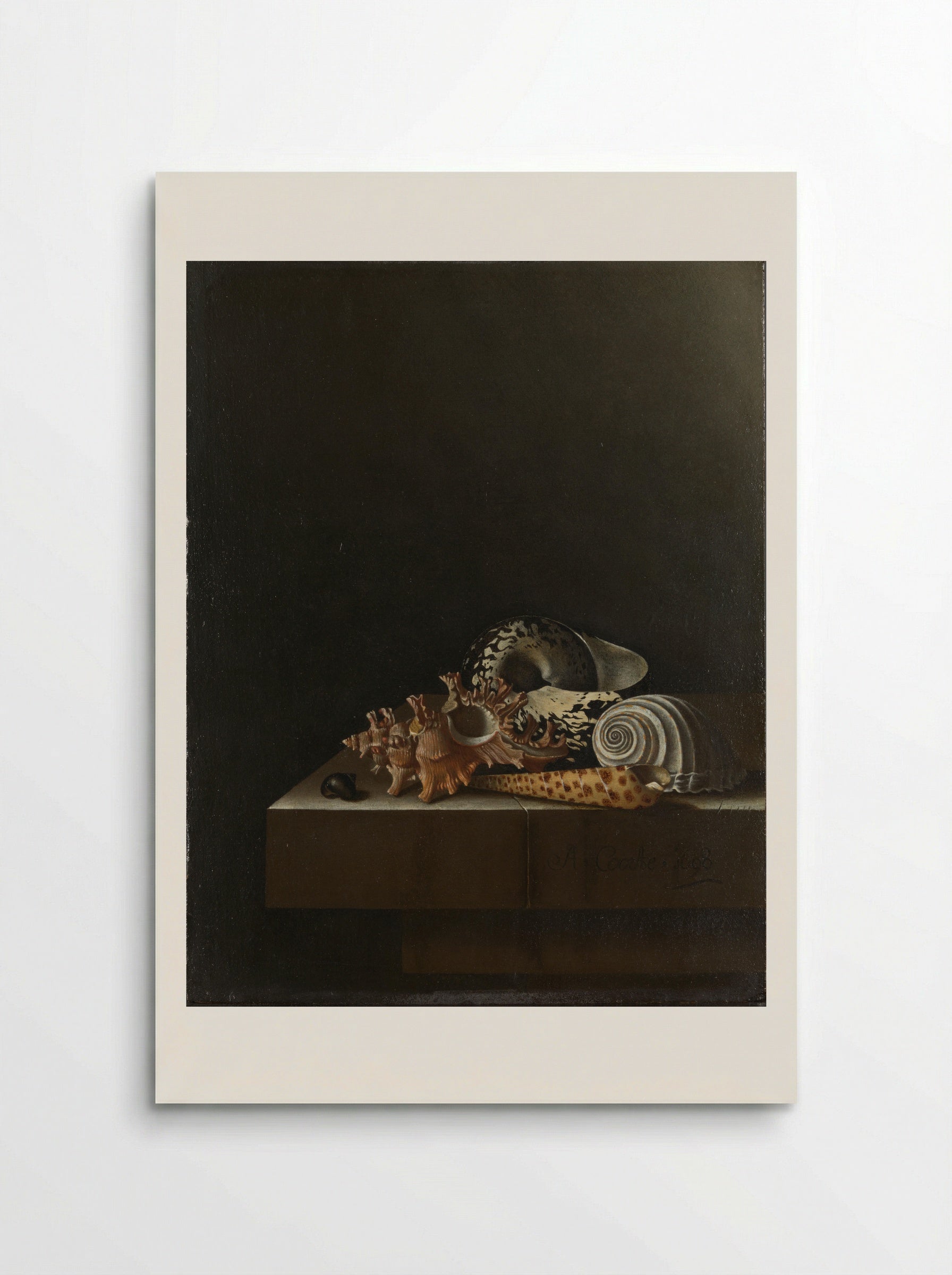 Schelpen op een stenen plint - Adriaen Coorte - Poster