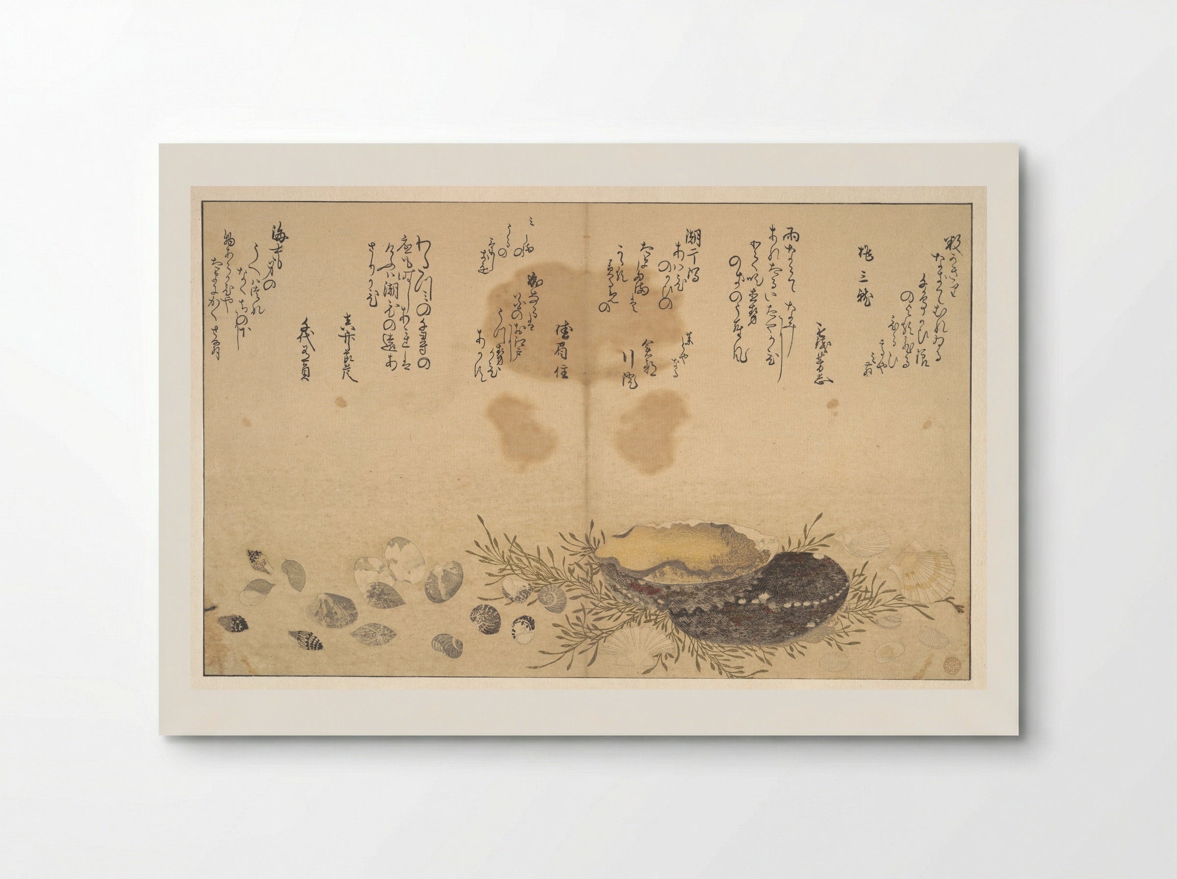 Shells Under Water - Kitagawa Utamaro - Poster