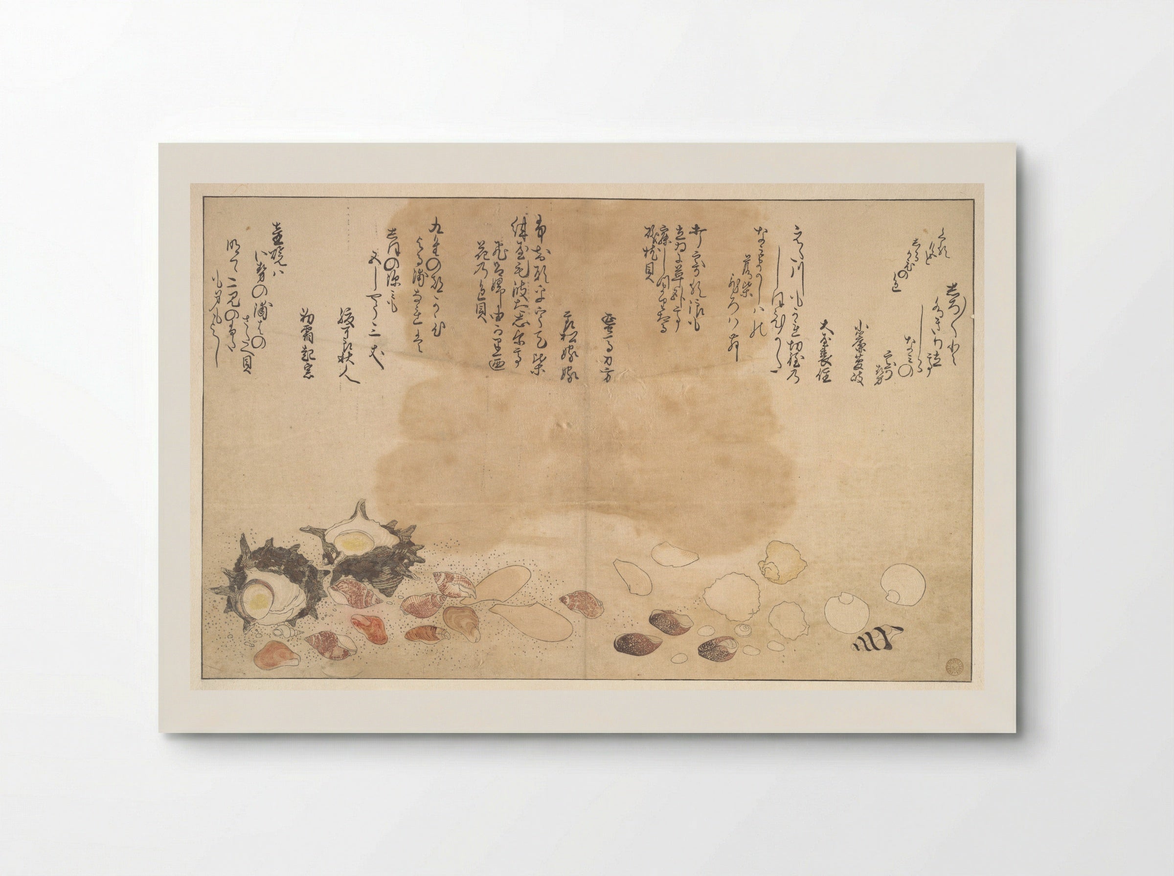 Shells under Water - Kitagawa Utamaro - Poster