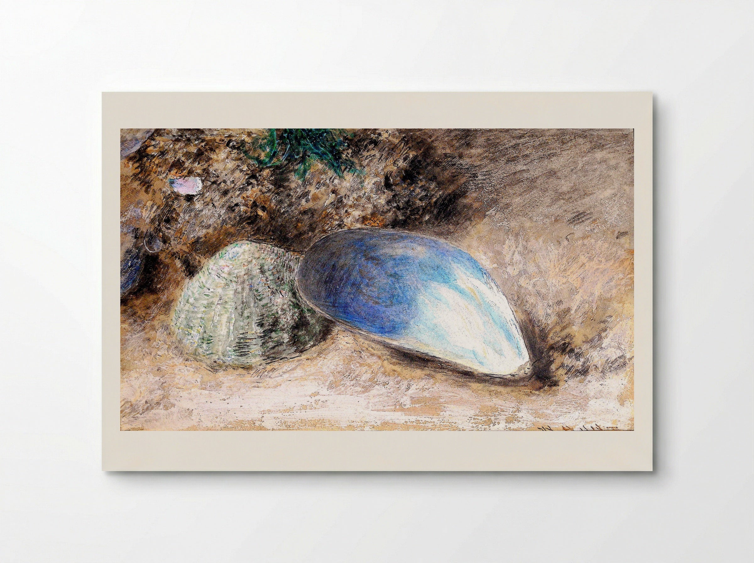 Shells - William Henry Hunt - Poster