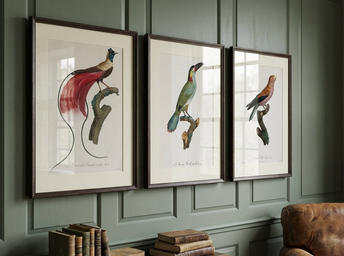 Uploaded via Solis Studio