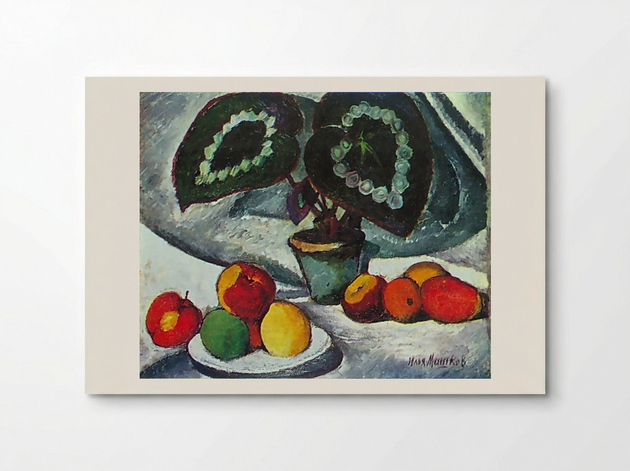 Still Life with Begonias - Ilya Mashkov - Poster