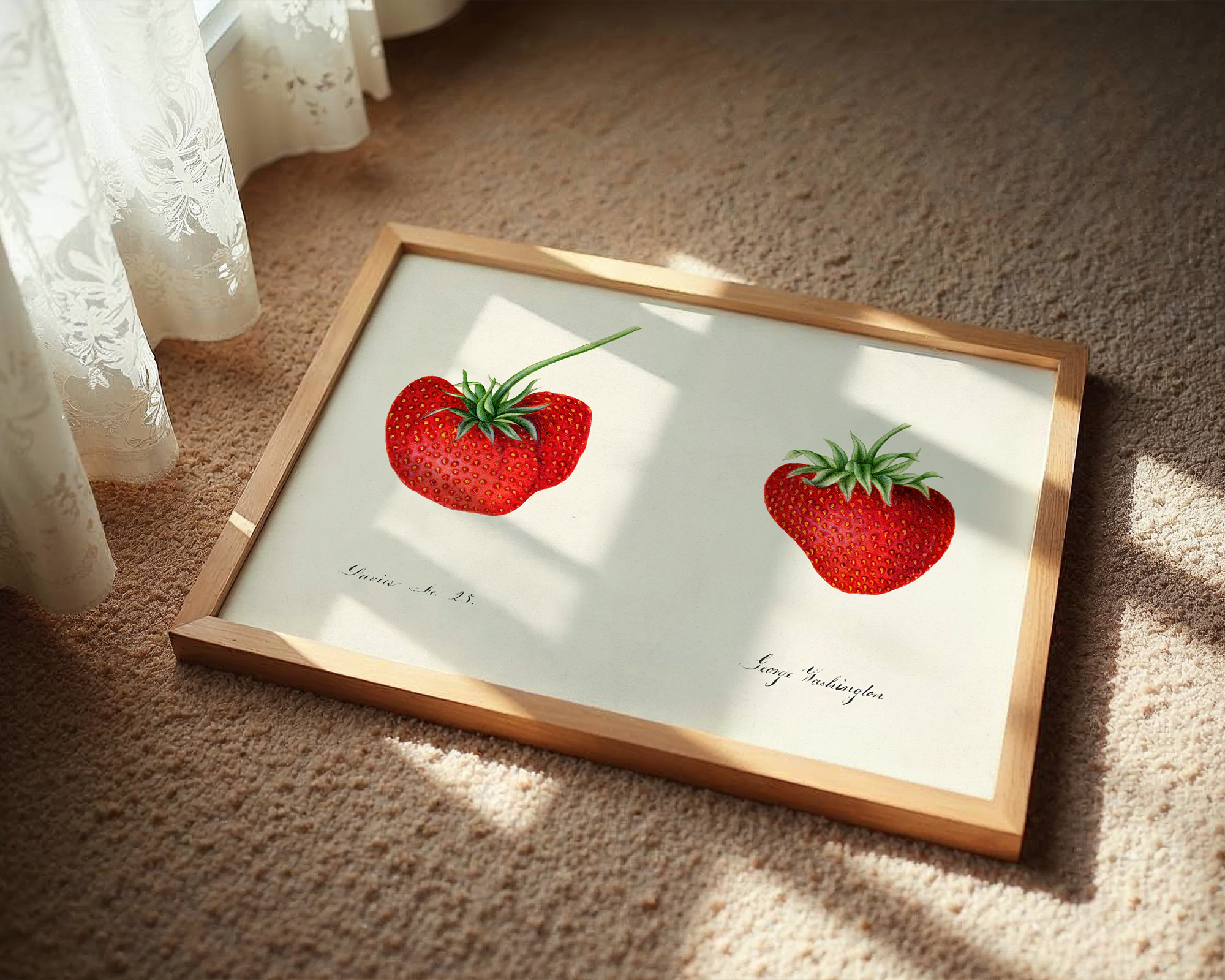 Strawberries-(Fragaria)-(1890)-by-William-Henry-Prestele mockup