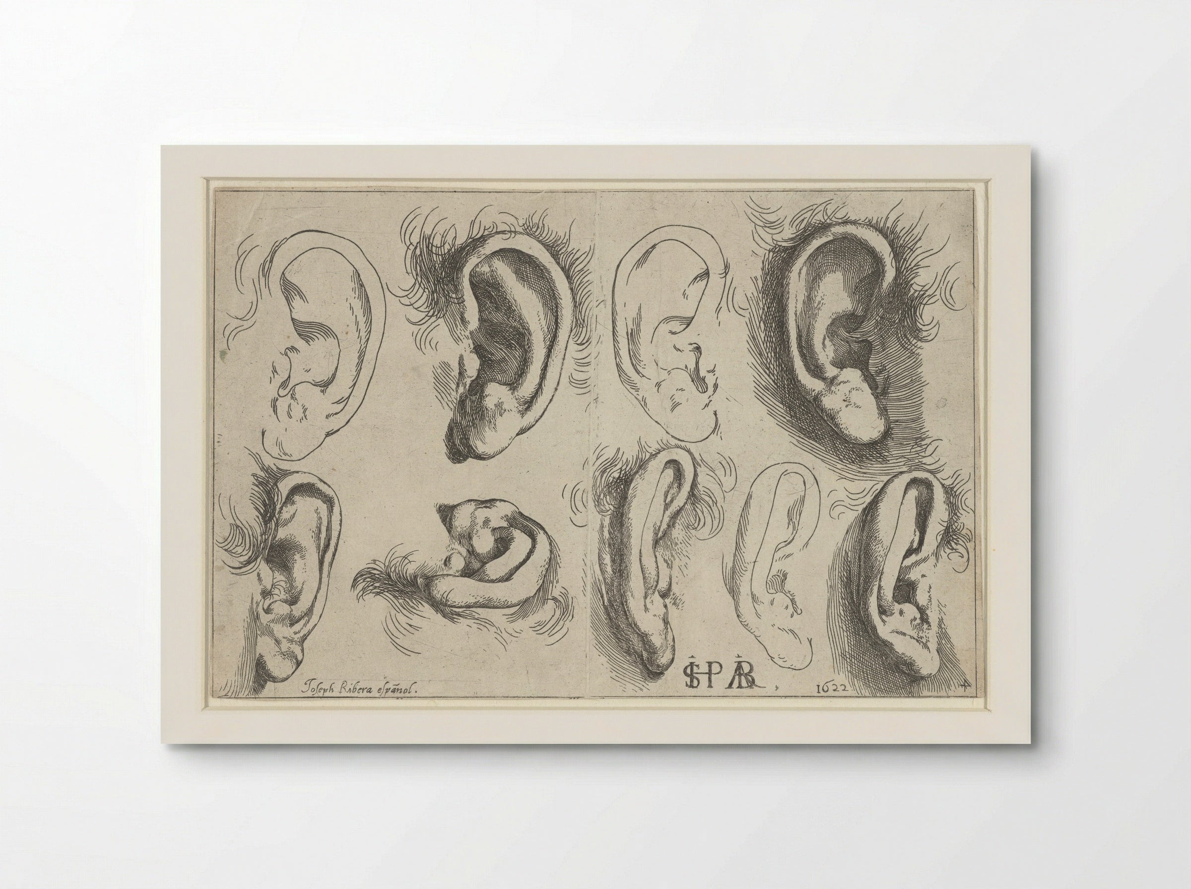 Studies of Ears (After Jusepe de Ribera) - Frans van den Wijngaerde - Poster