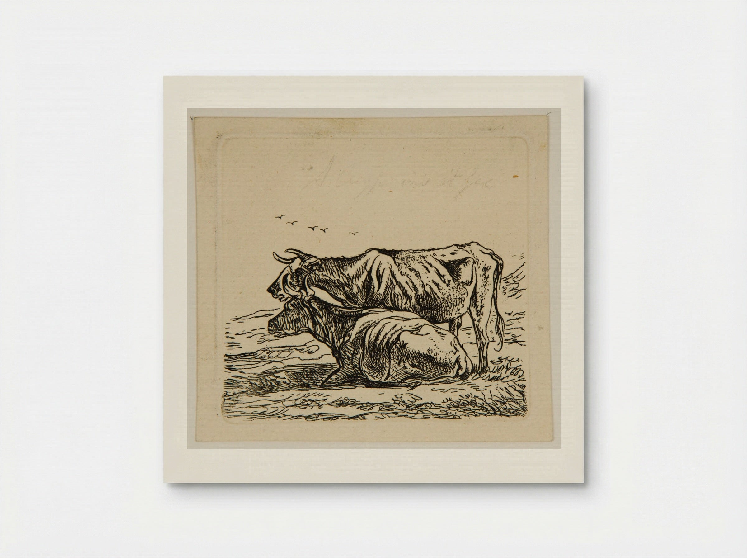 Study III (Cows) - Aelbert Cuyp - Poster